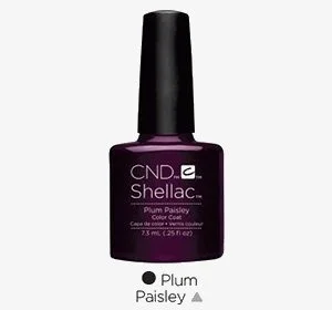 Plum-Paisley.jpg