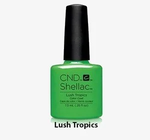 Lush-Tropics.jpg