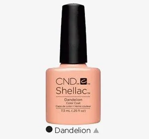 Dandellion.jpg