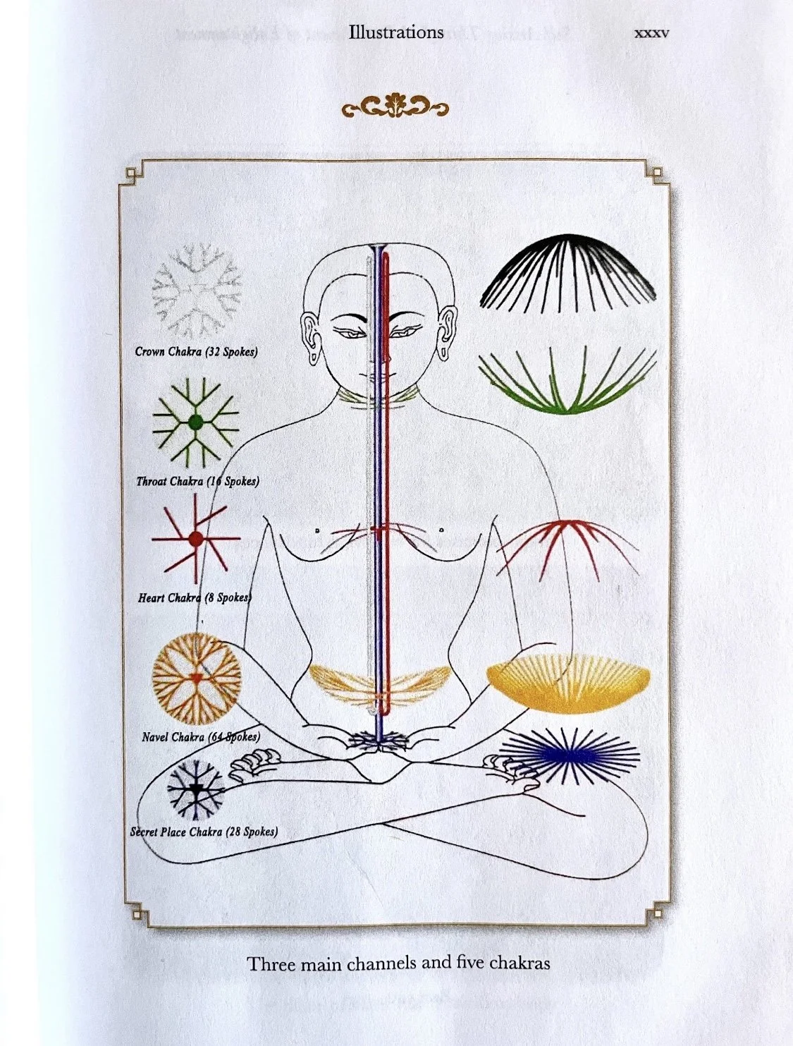 Sacred Body - Three Channel (crop).jpeg