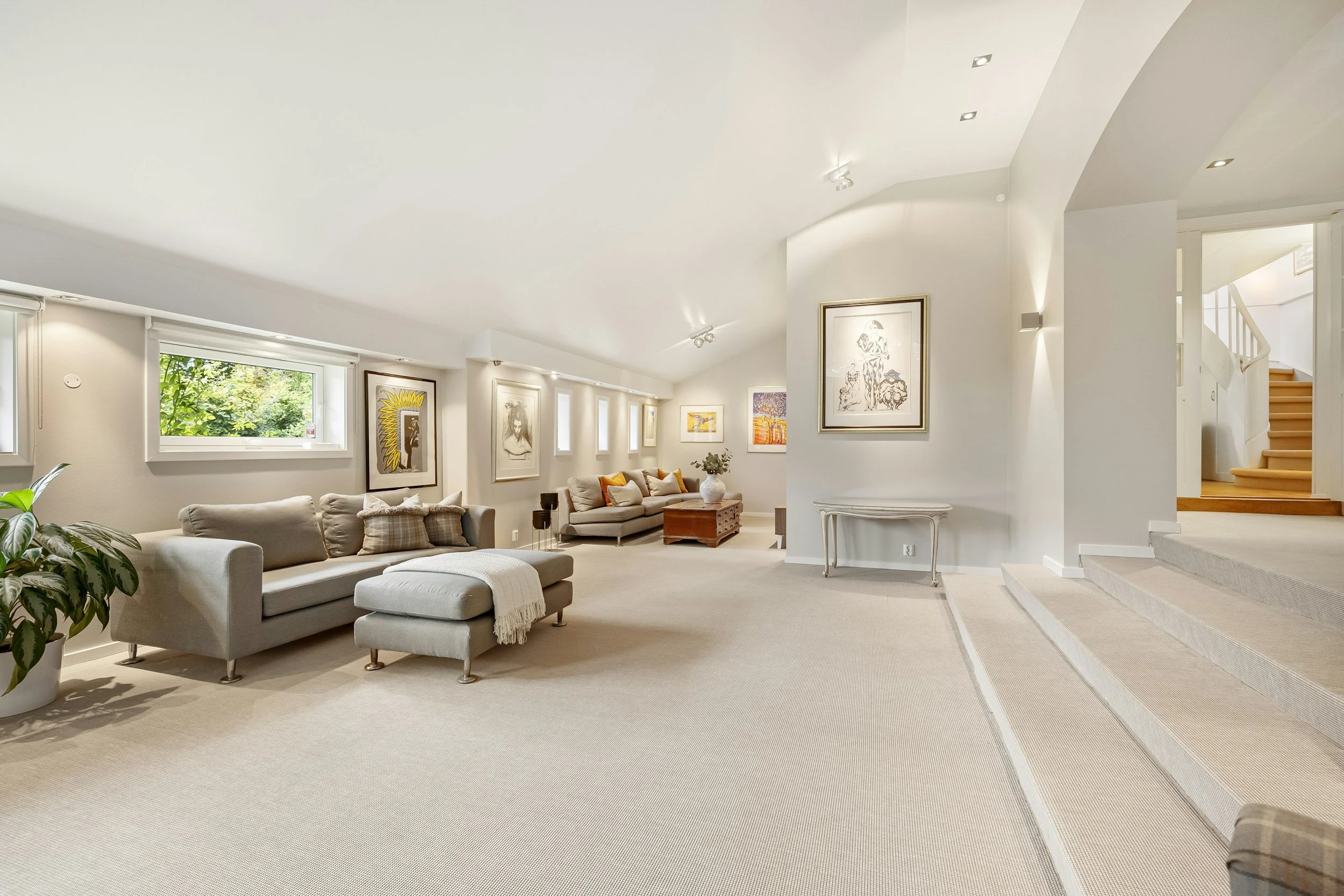 Basement addition. Walk out. Contemporary space. Art gallery style accent walls.