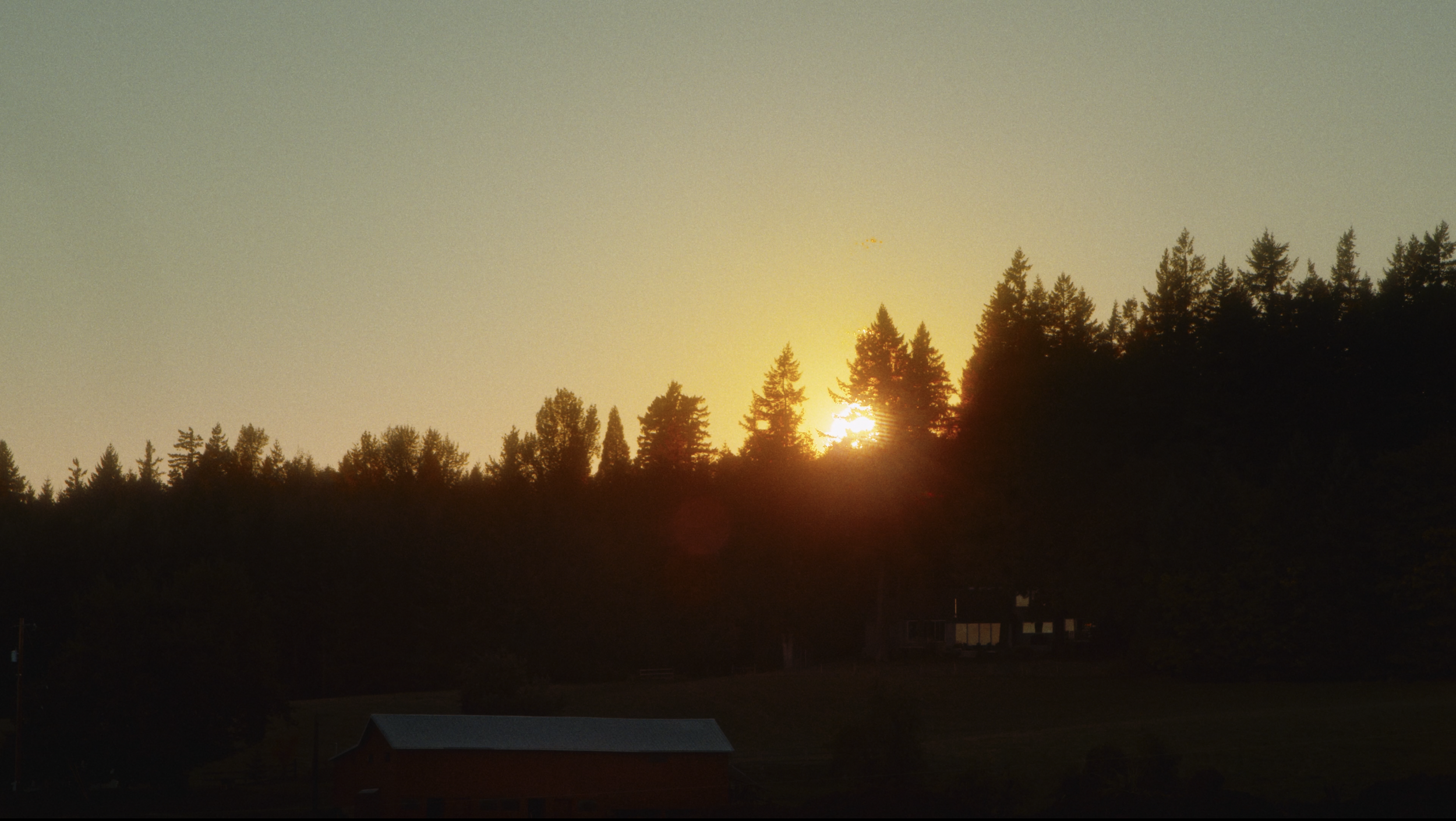 Screen Shot 2026-03-08 at 1.27.49 PM.png