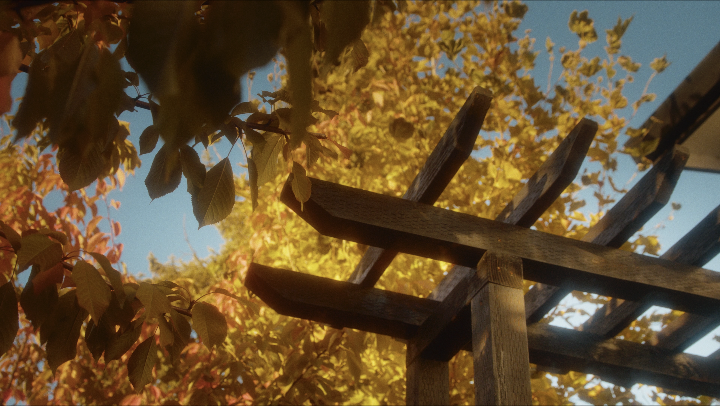 Screen Shot 2026-03-08 at 1.28.39 PM.png