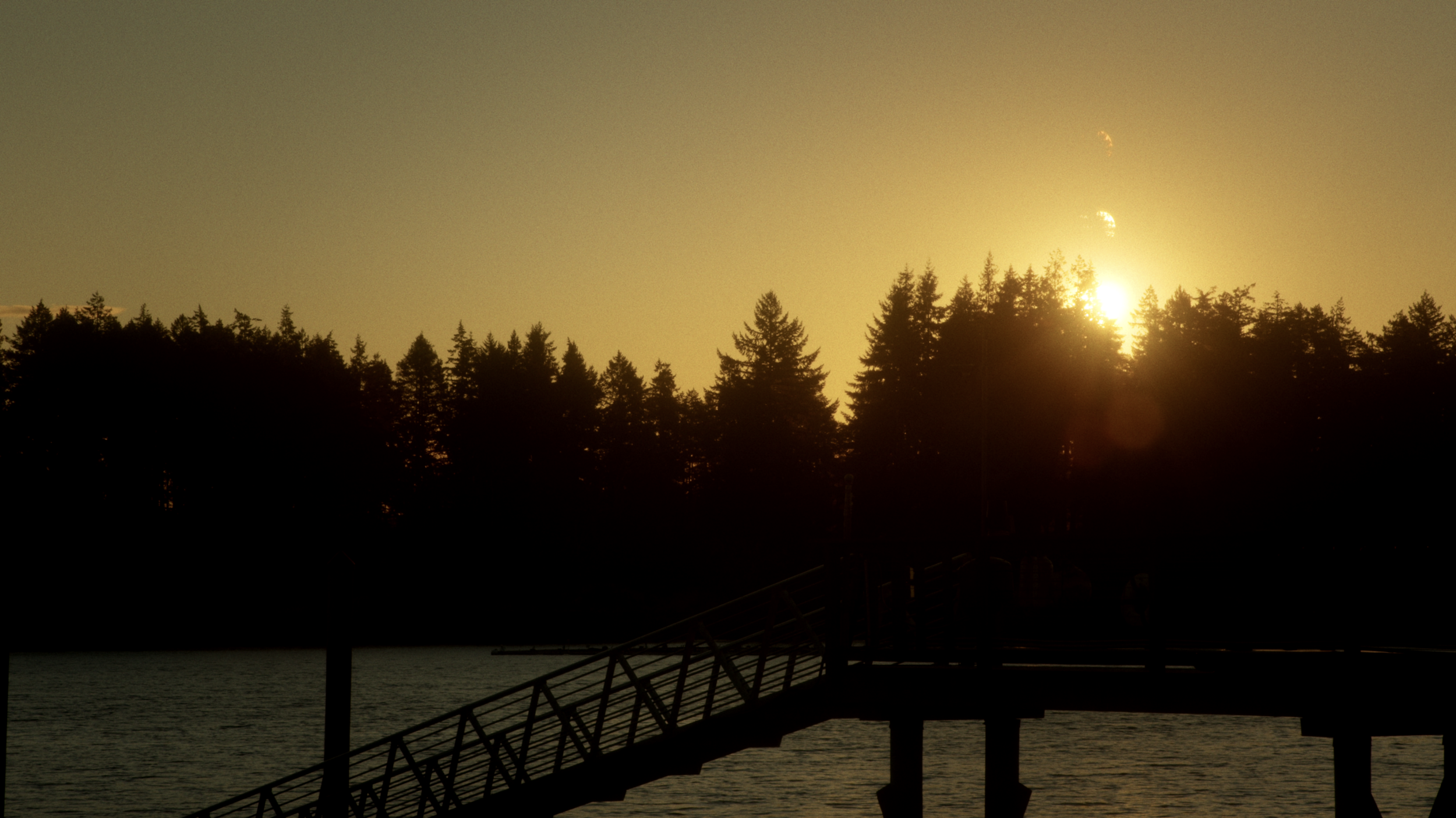 Screen Shot 2026-03-08 at 3.12.13 PM.png