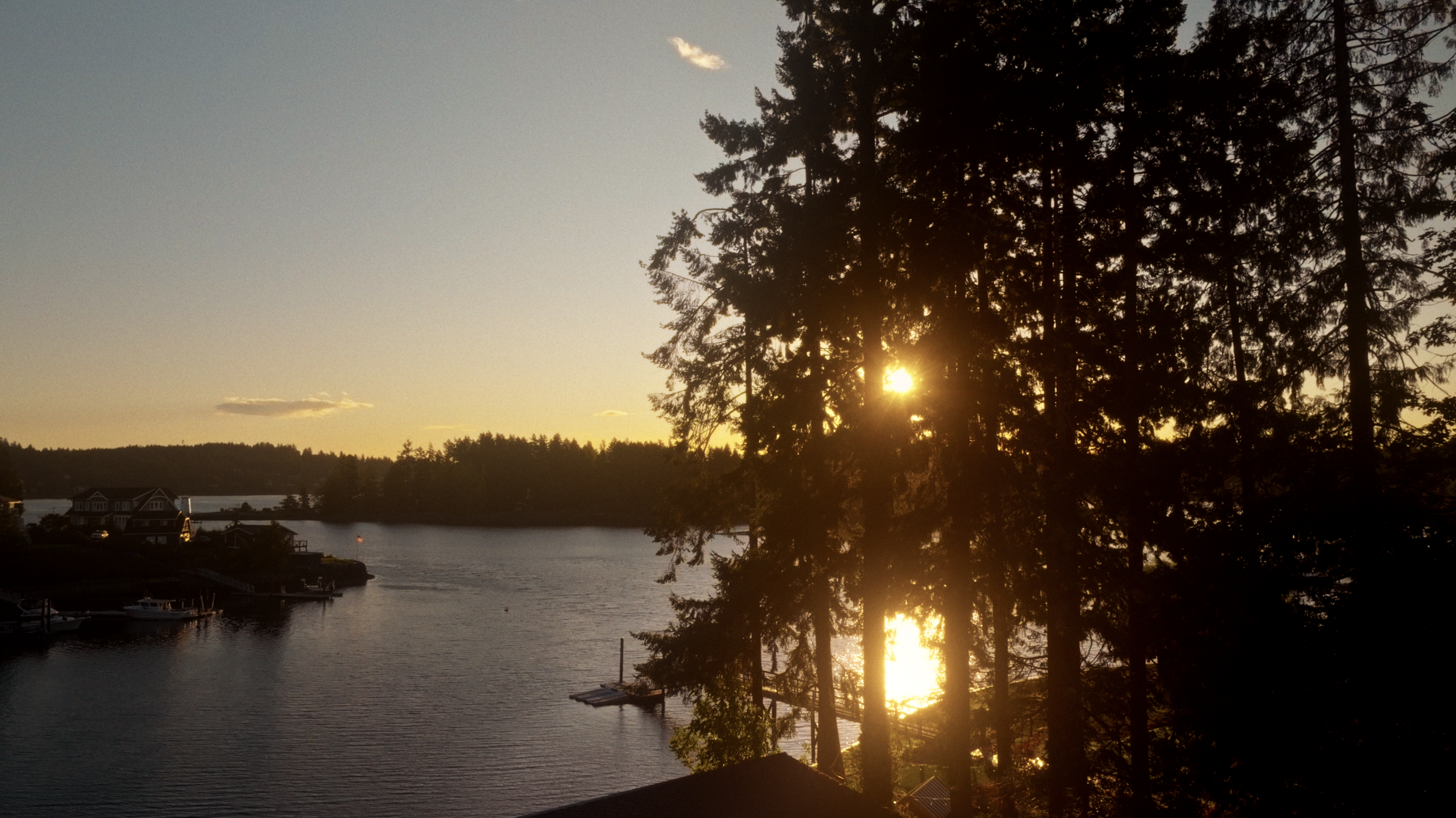 Screen Shot 2026-03-08 at 3.13.04 PM.png