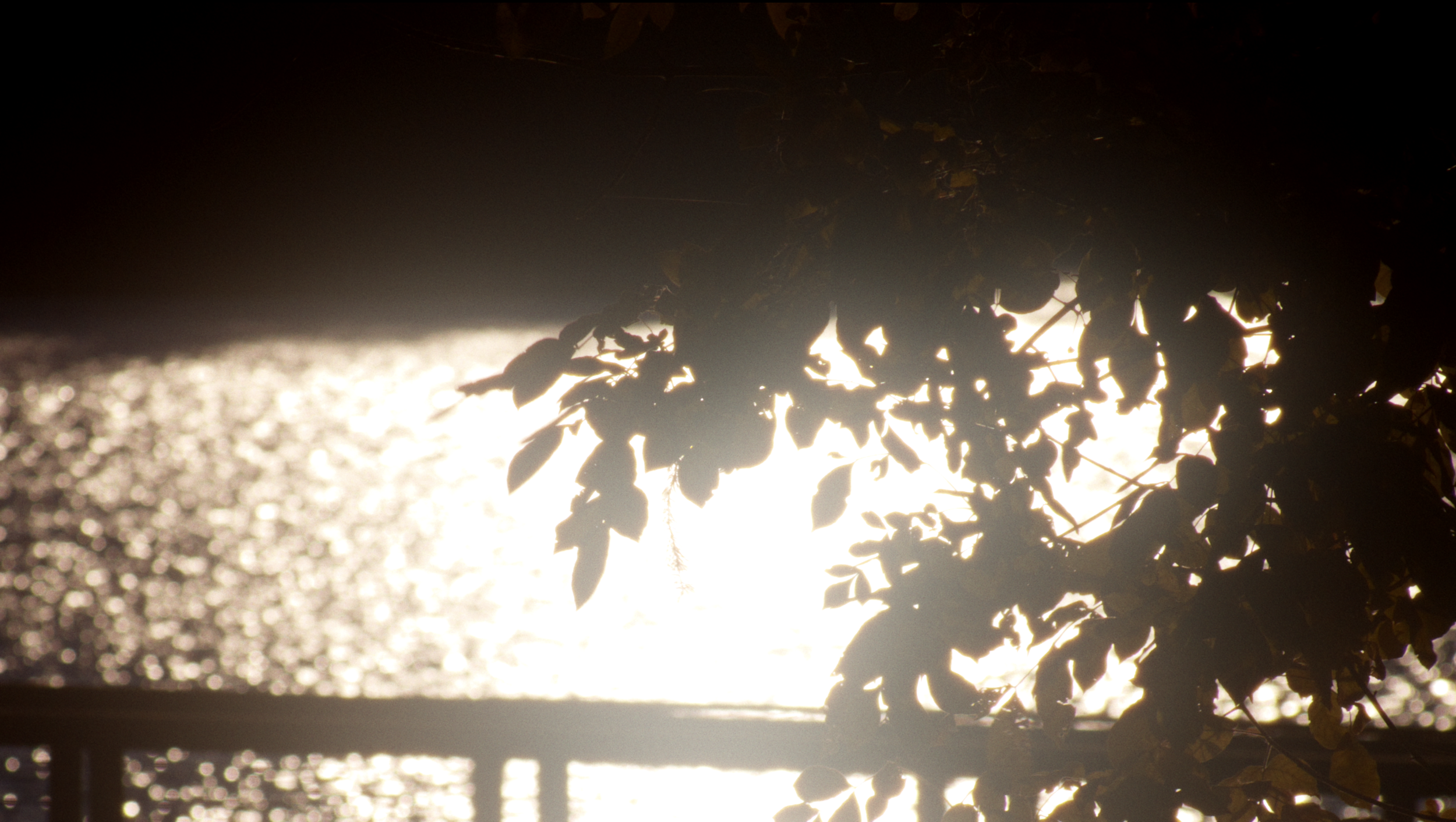 Screen Shot 2026-03-08 at 3.13.49 PM.png