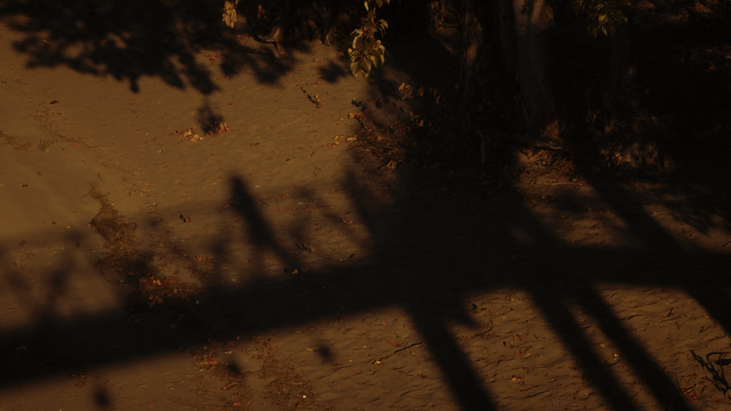 Screen Shot 2026-03-08 at 3.15.12 PM.png