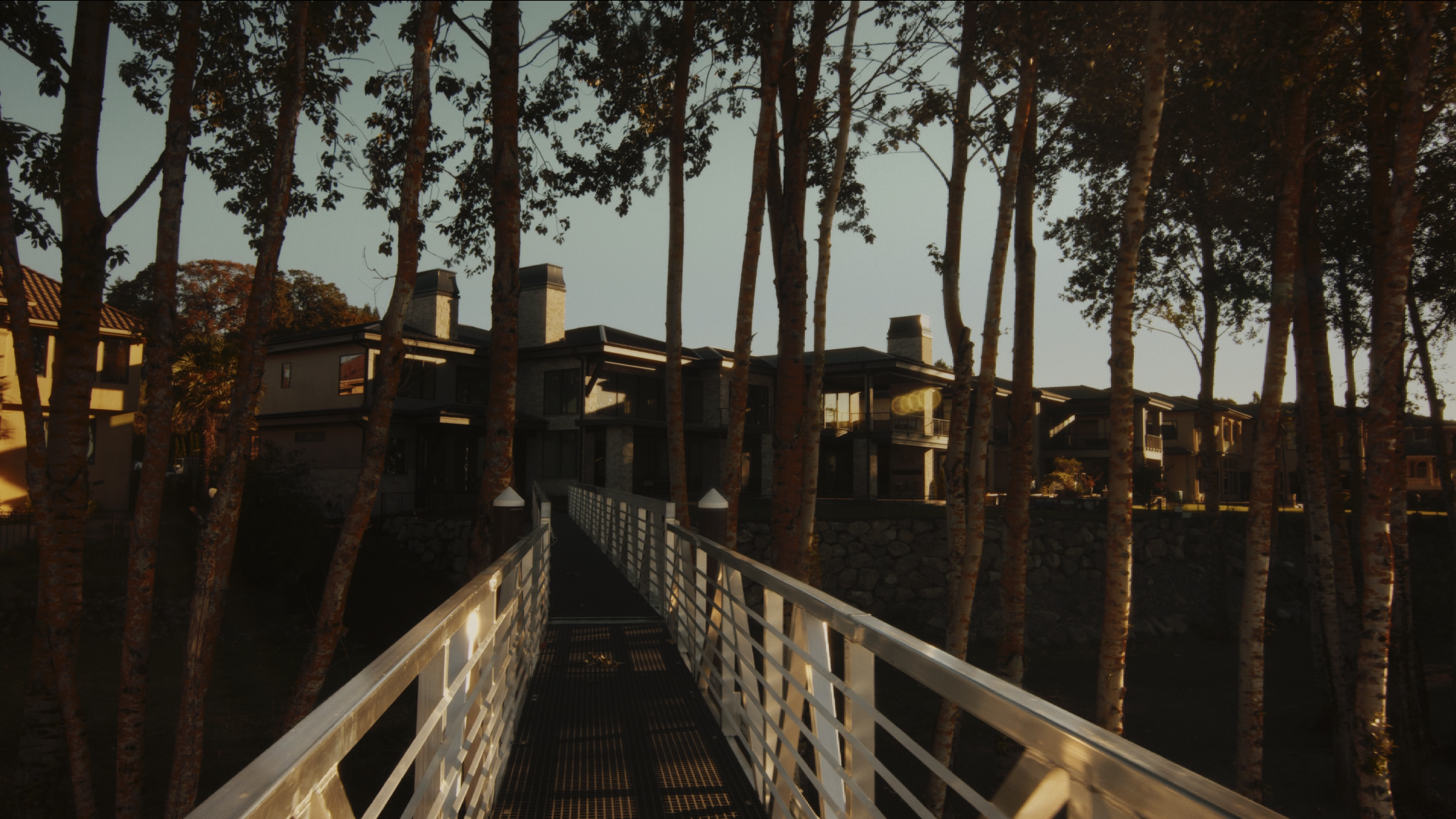 Screen Shot 2026-03-08 at 3.16.28 PM.png