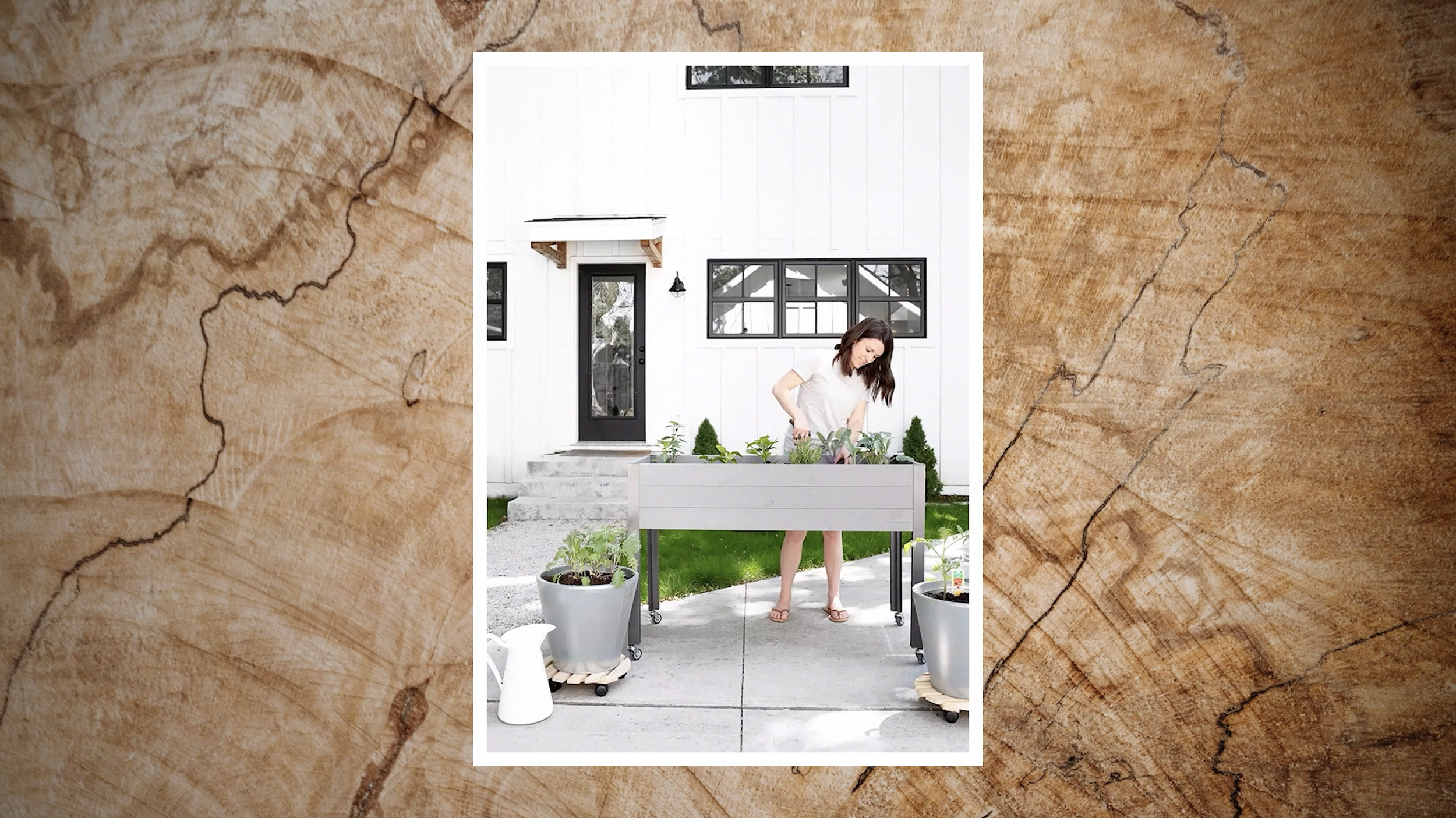 Screen Shot 2023-02-09 at 9.25.42 AM.PNG