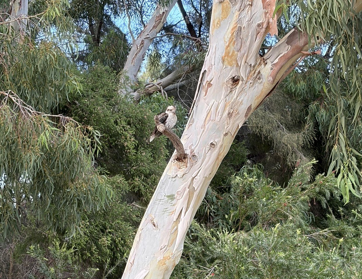 How your habits shape your leadership identity