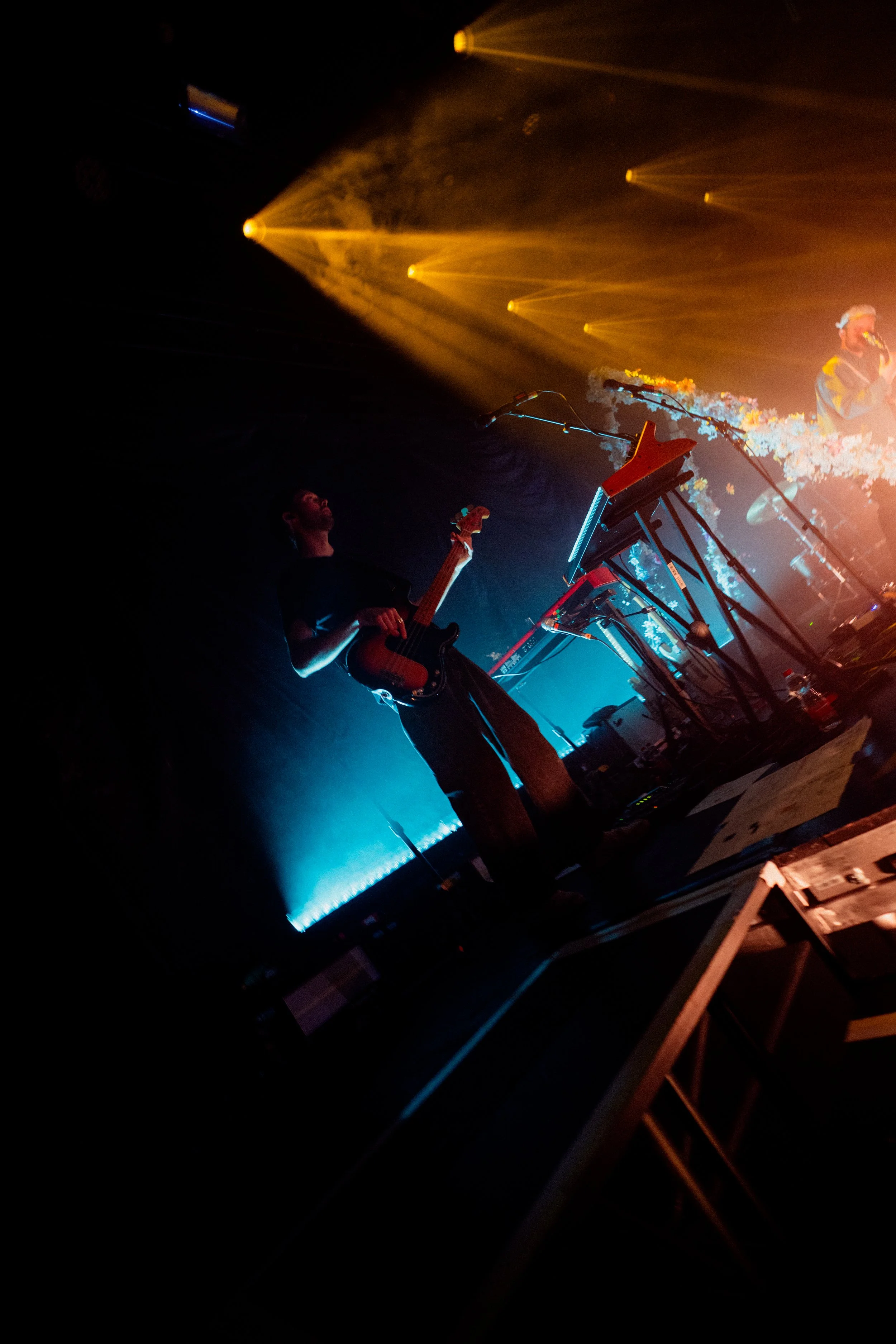 Bass Flowers Ennio Zürich DSC07722.jpg