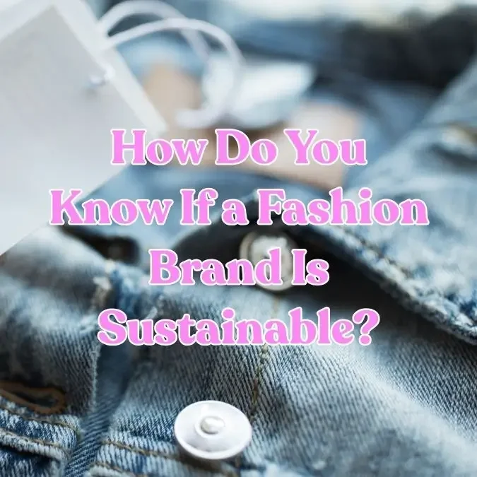 How Do You Know If a Fashion Brand Is Sustainable?