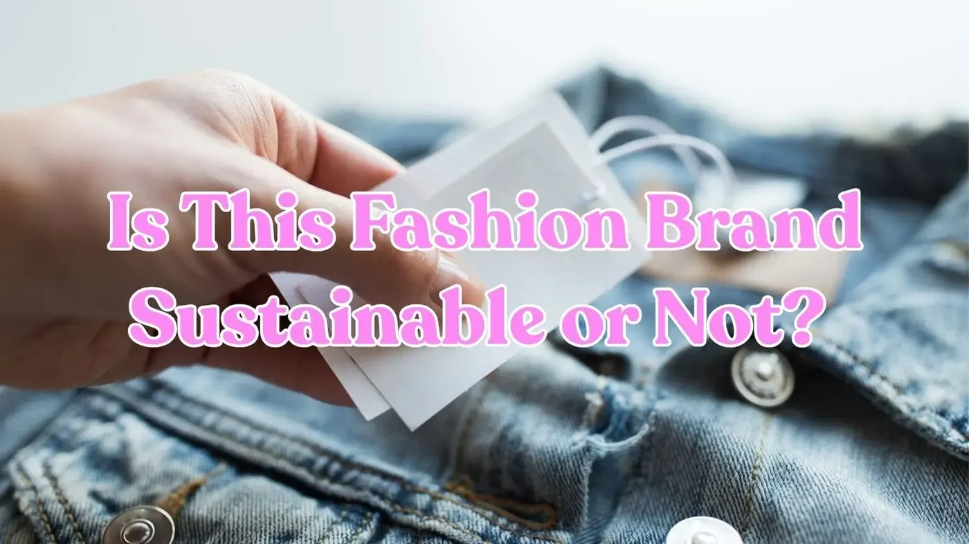 A hand holding a clothing tag on a denim garment, representing how to check if a fashion brand is sustainable.
