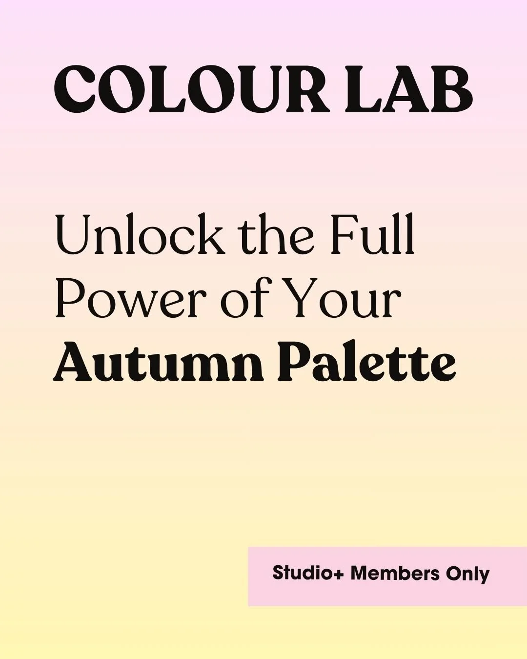 Autumn Type Colour Lab Workshop