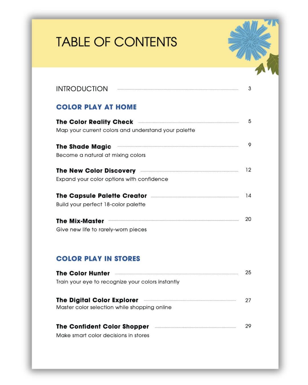 color-confidence-workbook-contents.jpg