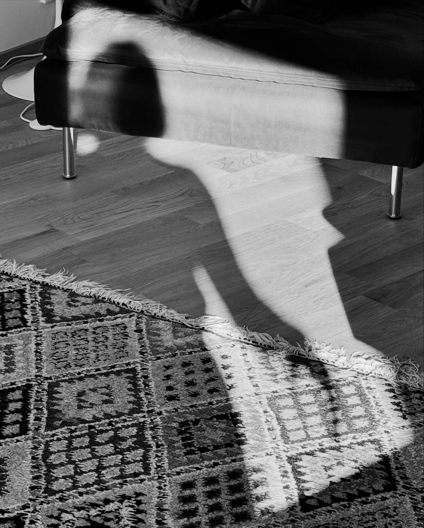SKETCHES IN PLAY (Axon) &bull; 2025
𝑺𝒏𝒂𝒑𝒔𝒉𝒐𝒕 𝑷𝒉𝒐𝒕𝒐𝒈𝒓𝒂𝒑𝒉𝒚

Tracing shadows through autumn light - fleeting imprints of form. Like stencils, they hold both presence and absence.

#ShadowPhotography #CamillaHowalt #CamillaHowaltArt #C