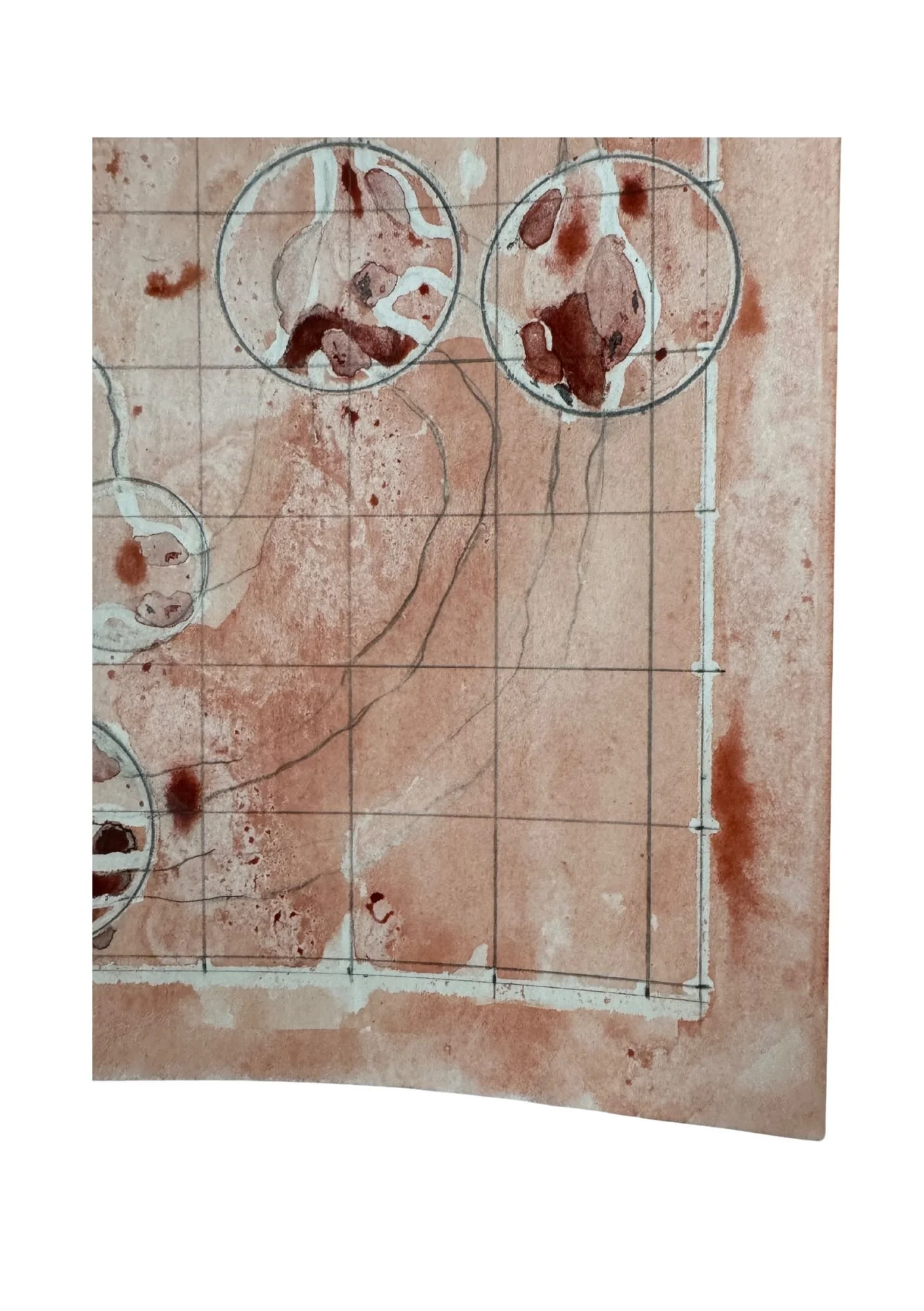 ROME DISCOURSE 1 •121225 • Camilla Howalt 03.jpg