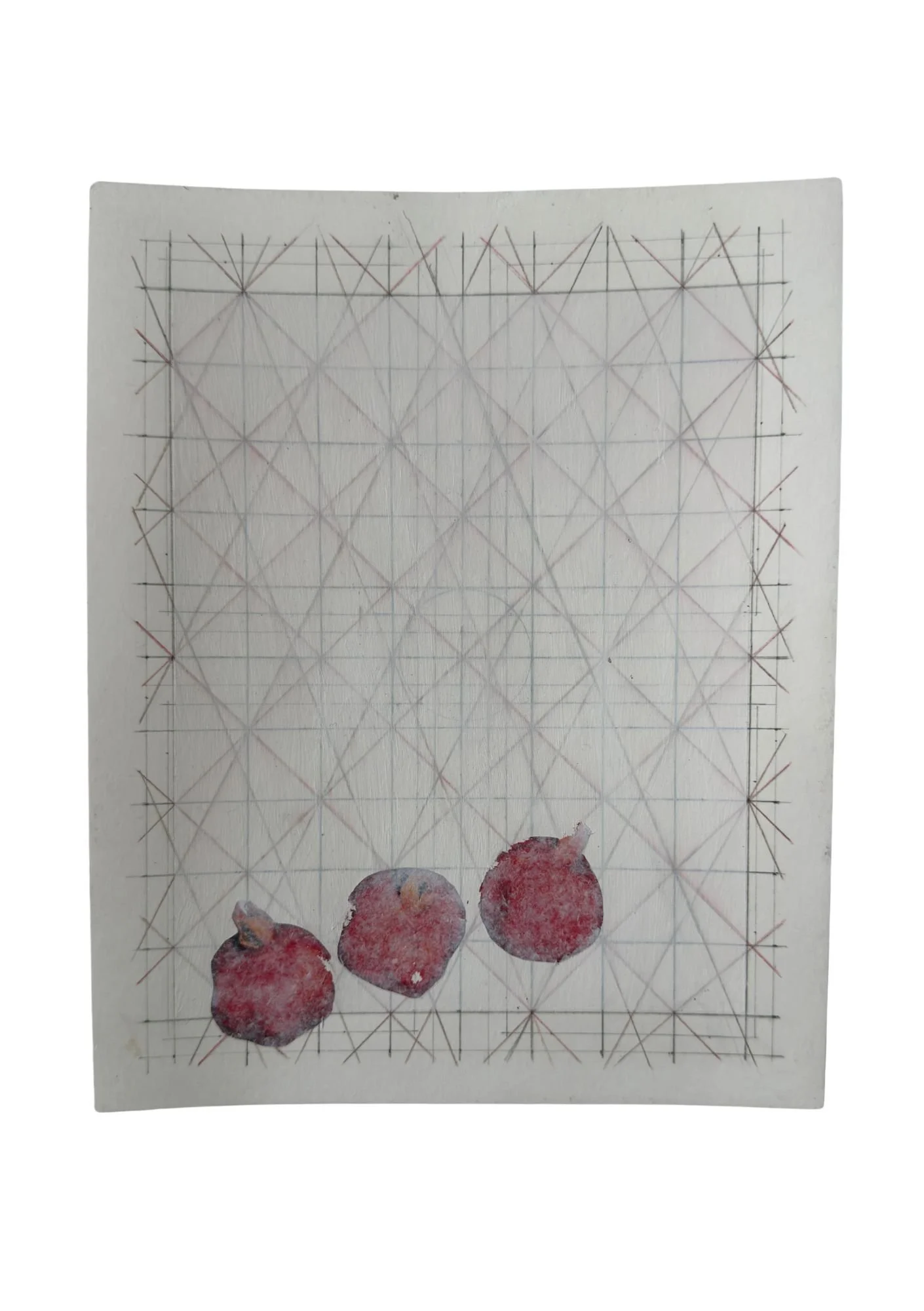 THE ROME DISCOURCE 06