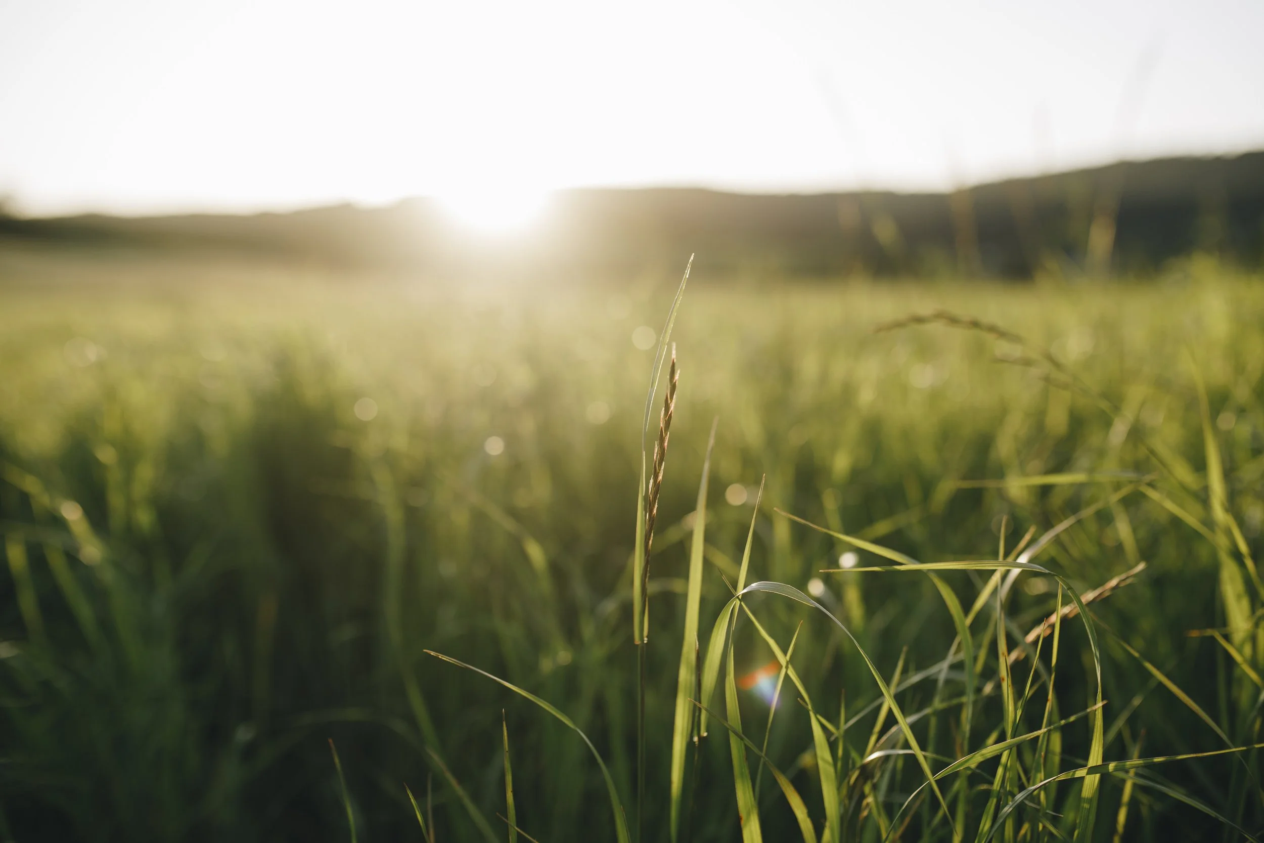 ClemYoga_May2023_LuxembourgBrandPhotographer_LoraWagenerCo-1825.jpg