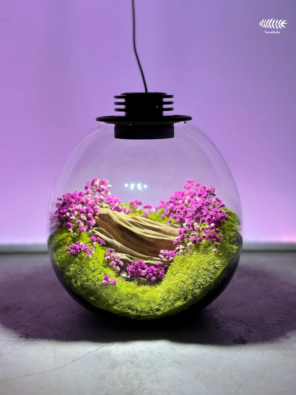 Wildflower — Terrafinity.ph