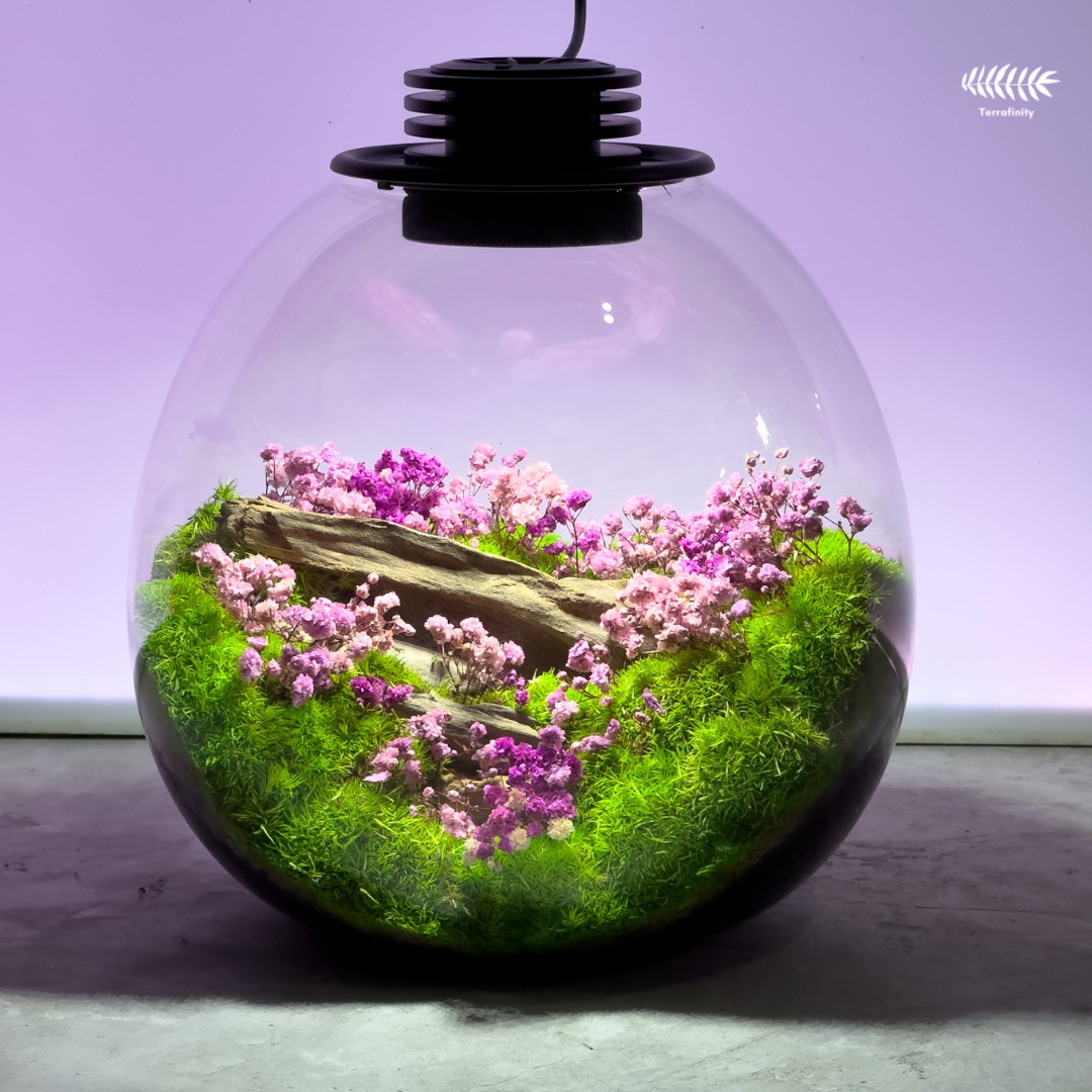 Wildflower — Terrafinity.ph