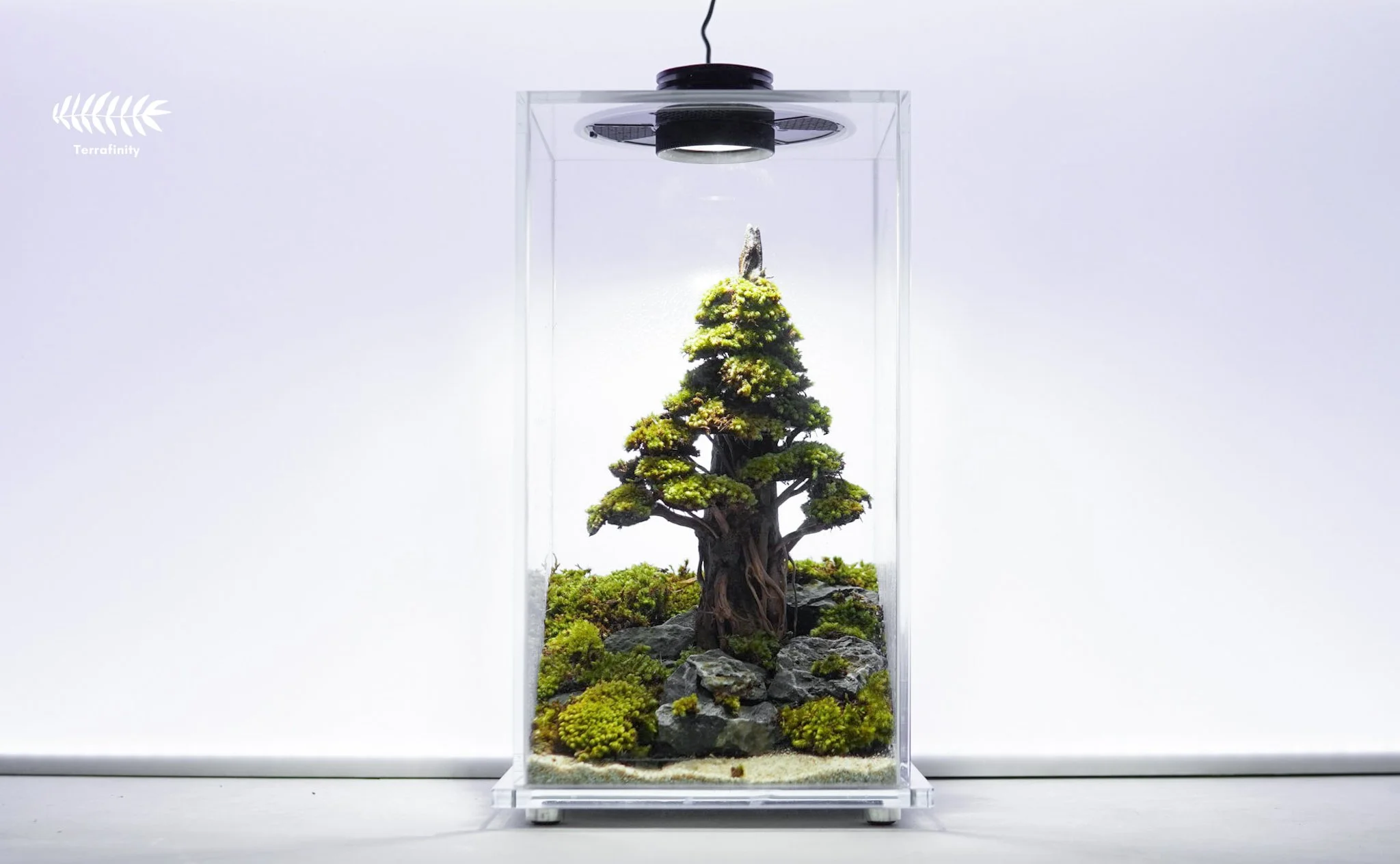 Terrafinity.ph