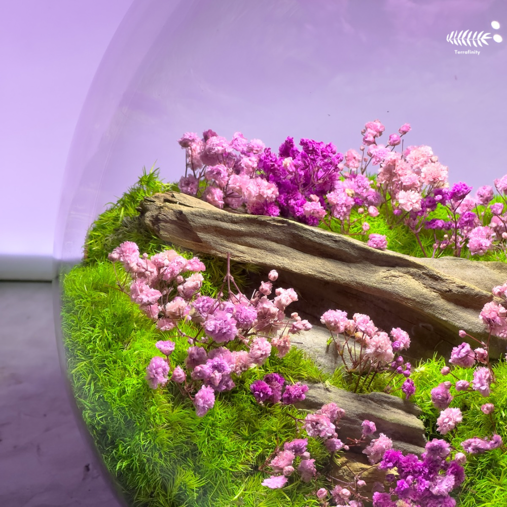 Wildflower — Terrafinity.ph