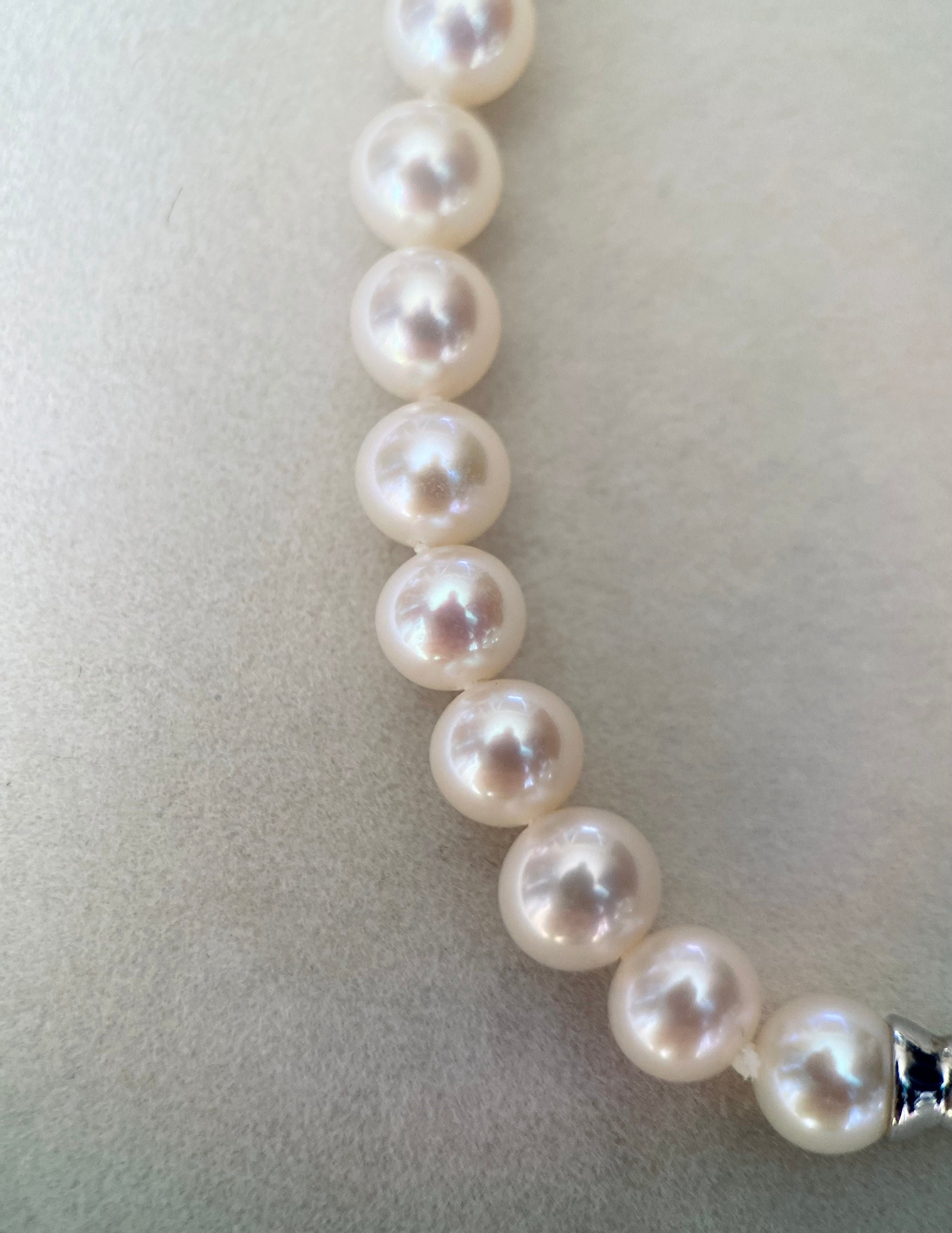 https://i.etsystatic.com/43751976/r/il/706571/4967641202/il_fullxfull.4967641202_ozed.jpg
