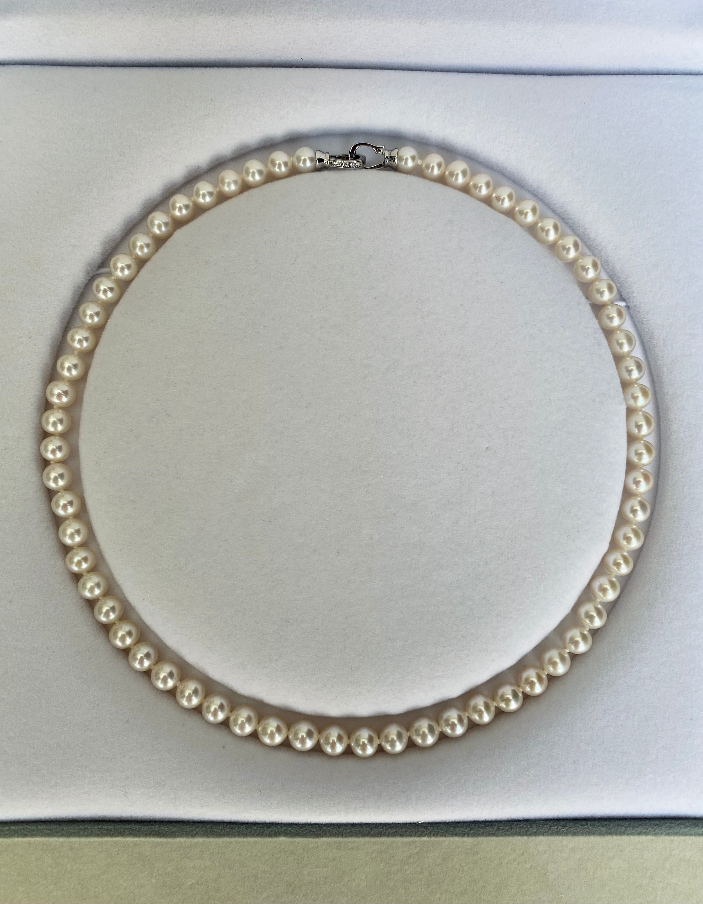 https://i.etsystatic.com/43751976/r/il/bbf2d5/4967641060/il_fullxfull.4967641060_1a3u.jpg