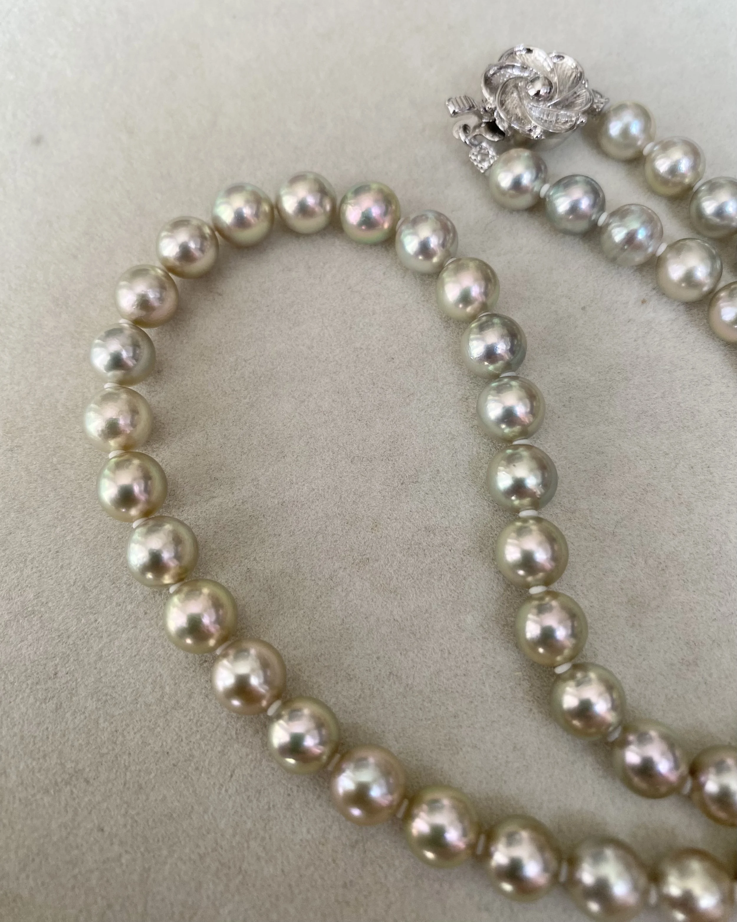Rare Premium Silver-Grey Lemon-Green Japanese Madama Akoya Pearl Necklace 7.5mm, Pink Overtones, Sculptural Floral Clasp, Show Piece Starlit Pearls