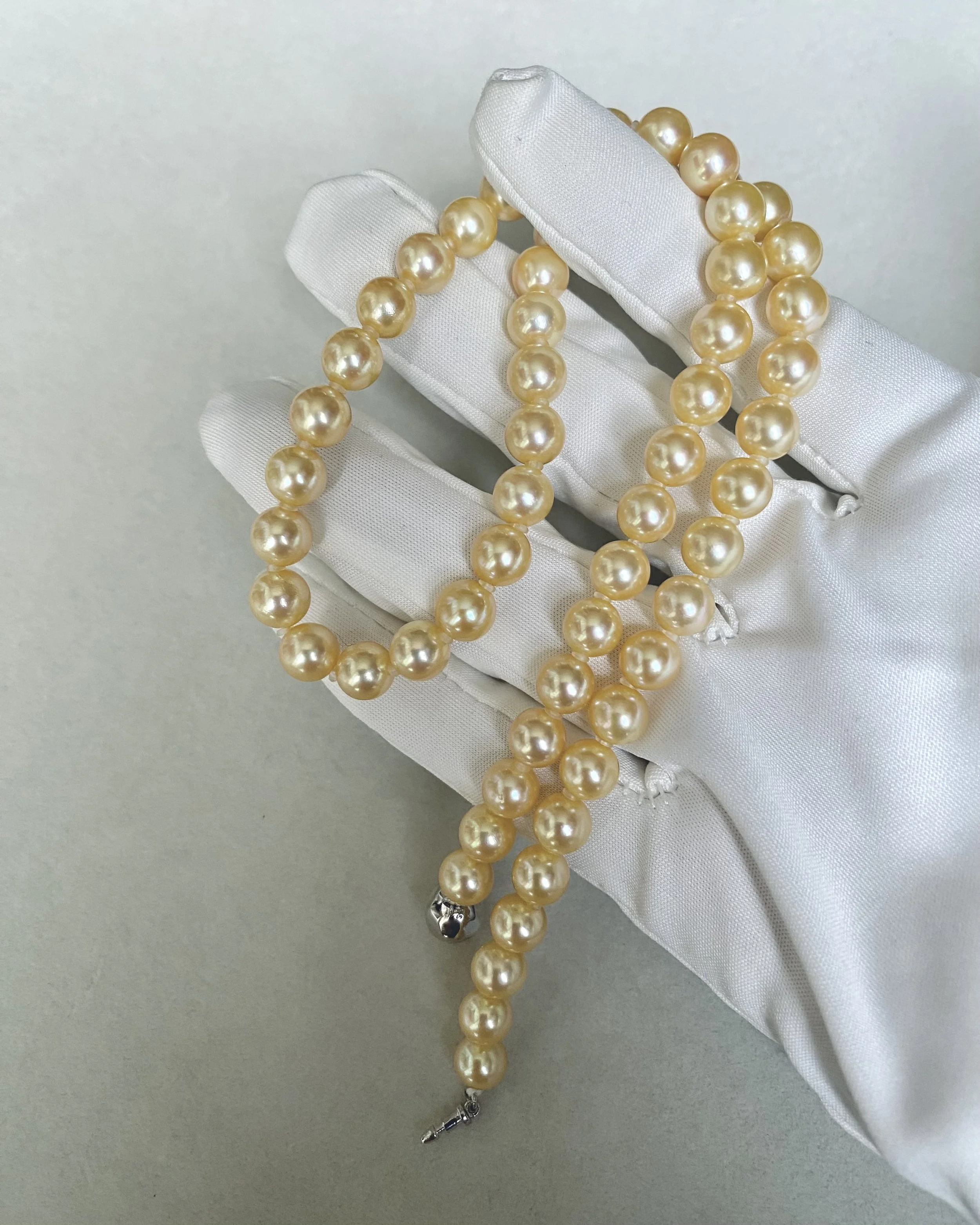 Vibrant Warm Gold_7–7.5mm Japanese “Golden Dawn” Akoya Pearl Necklace, High Clarity Lustre, S925 Sterling Silver Insert Clasp, Made in Japan Starlit Pearls