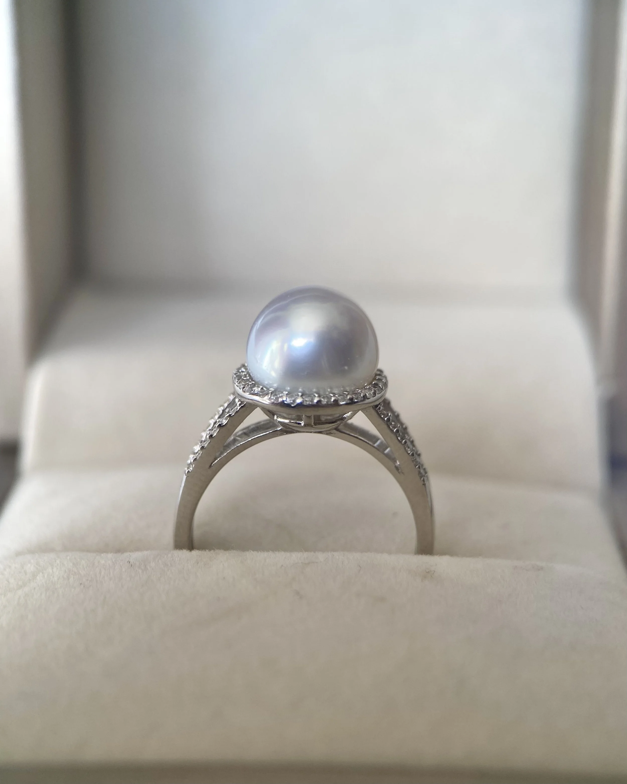 Silver White Australian South Sea Pearl Ring 9.8mm, Sparkling Halo & Split-Shank Design, Adjustable S925, Jewellery Exhibition Piece Starlit Pearls