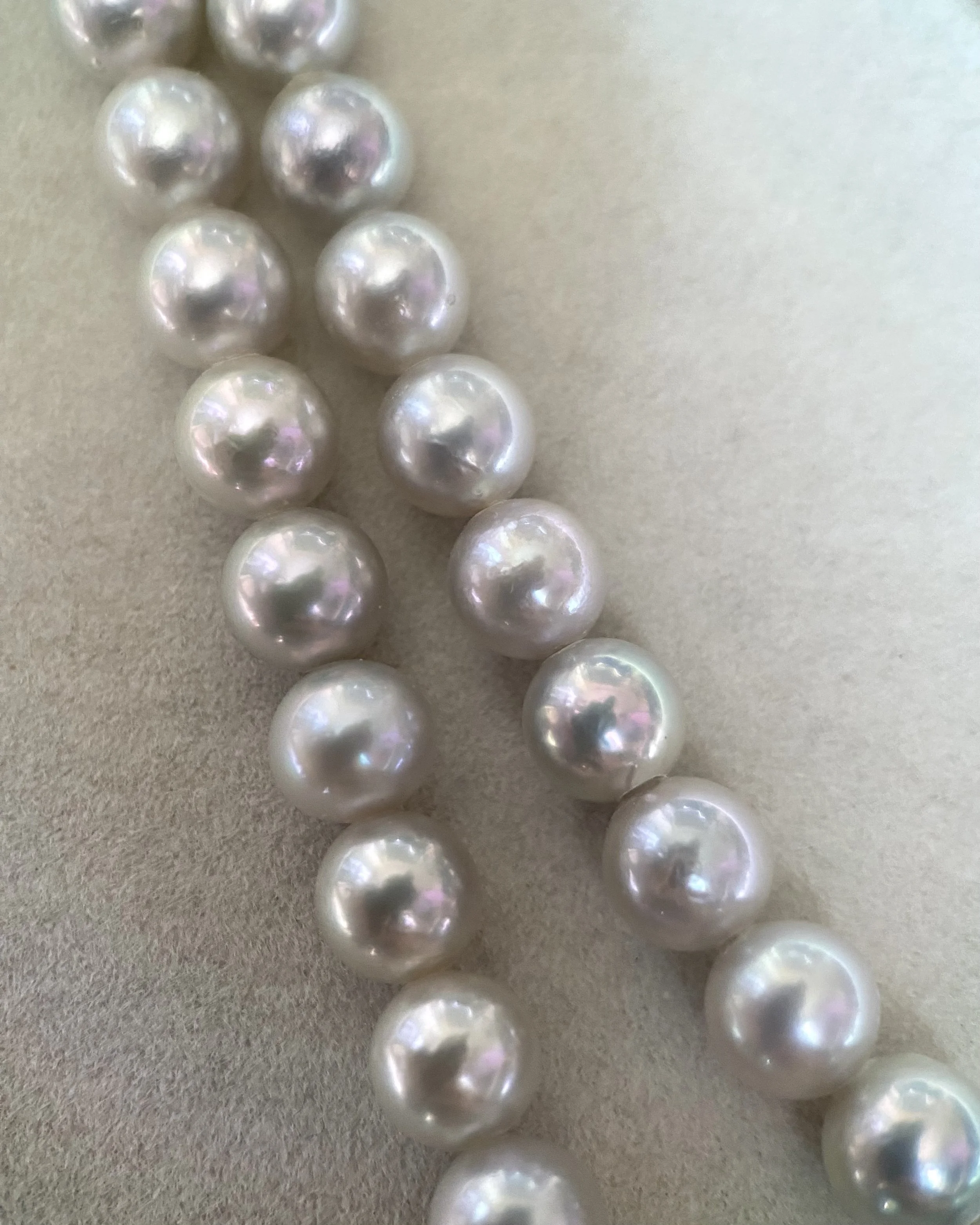 6.5–7mm Japanese Madama Akoya Pearl Necklace – Natural Silvery Grey, 3D Floral Silver Clasp, Japanese Jewellery Exhibition Showpiece Starlit Pearls