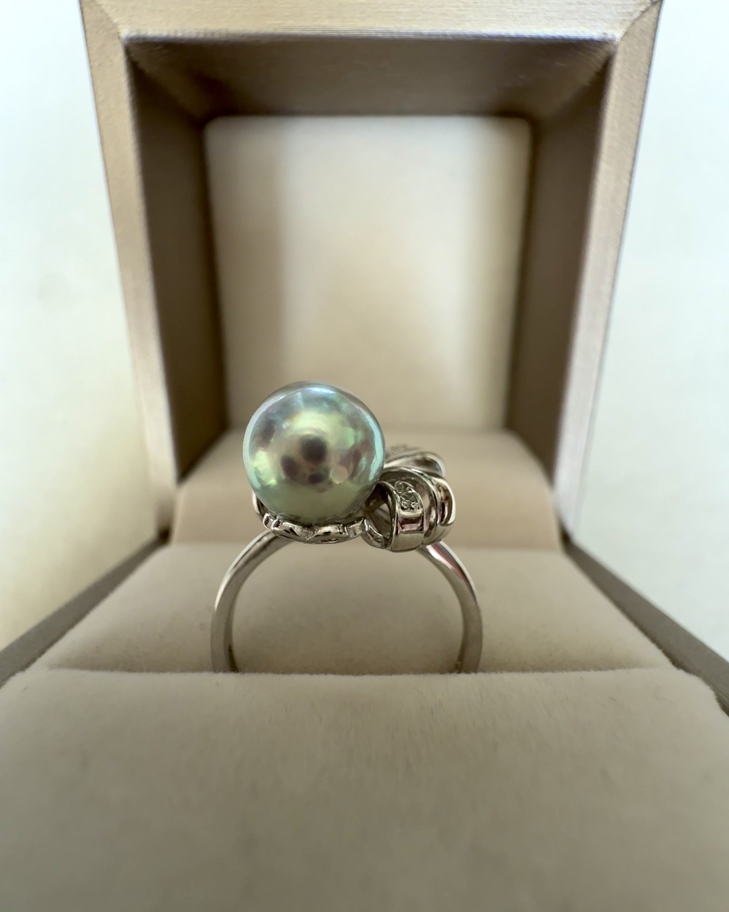 8mm Japanese Silvery-Grey Madama Akoya Pearl Ring, Brilliant Metallic Lustre, Japanese S925 Silver Dynamic Ribbon Bow Setting, Adjustable