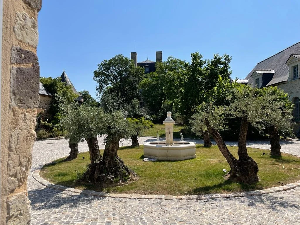 WhatsApp Image 2023-07-03 at 09.43.05.jpeg