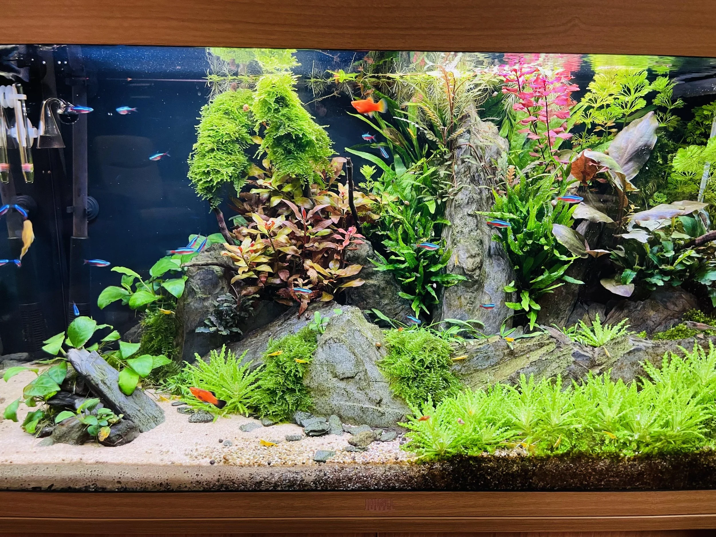 Lease aquarime wzc-Berkenhof.jpeg