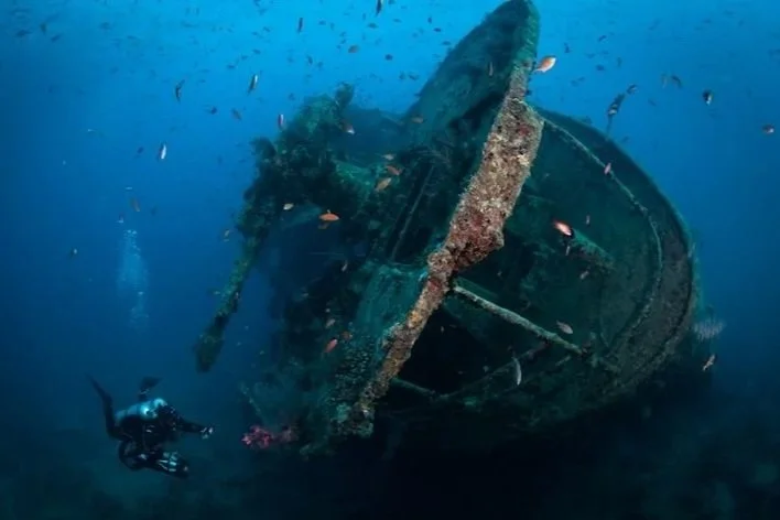 NORTH RED SEA – Wrecks and reefs