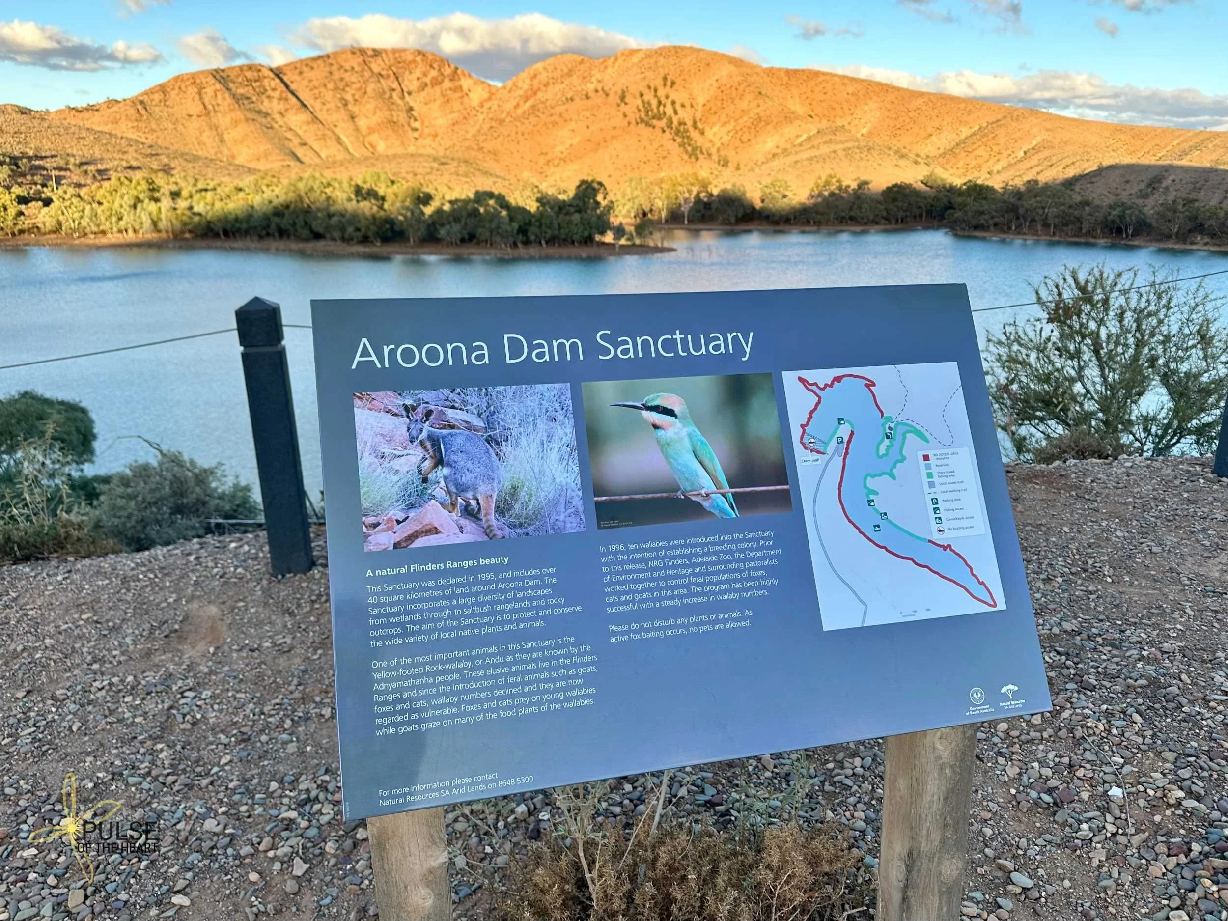 AROONADAMSANCTUARYSIGNAGE.jpg