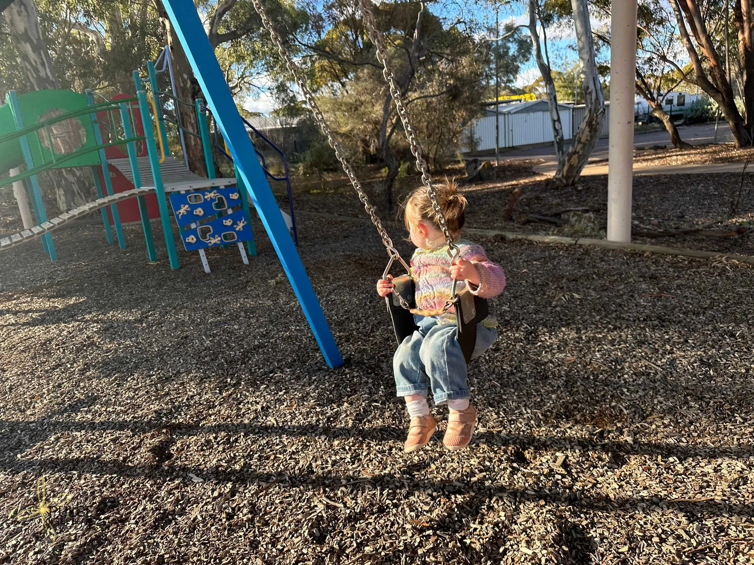 LEIGHCREEKPLAYGROUNDBABYSWING.jpg