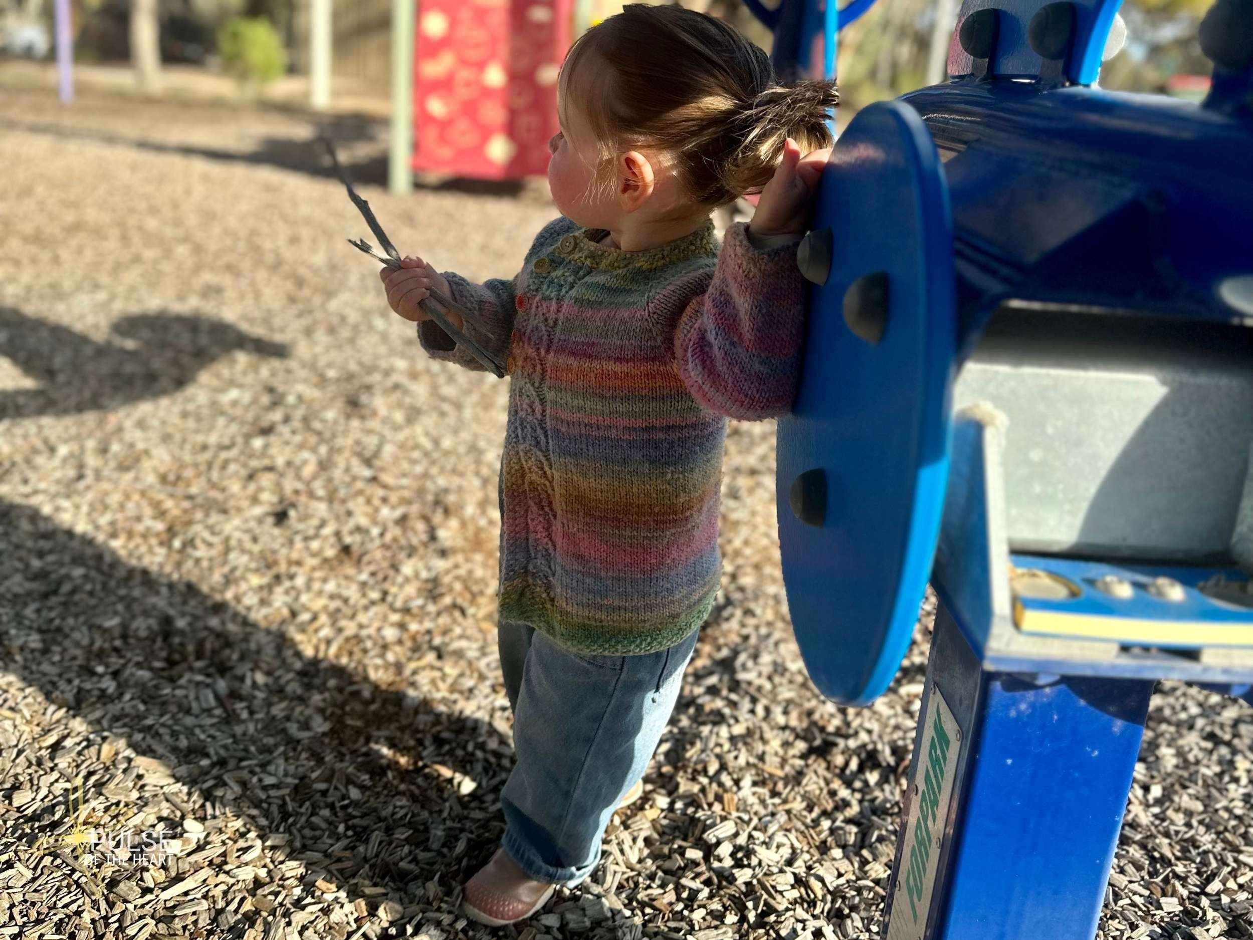 LEIGHCREEKTODDLERPLAYGROUNDSTICKS.jpg