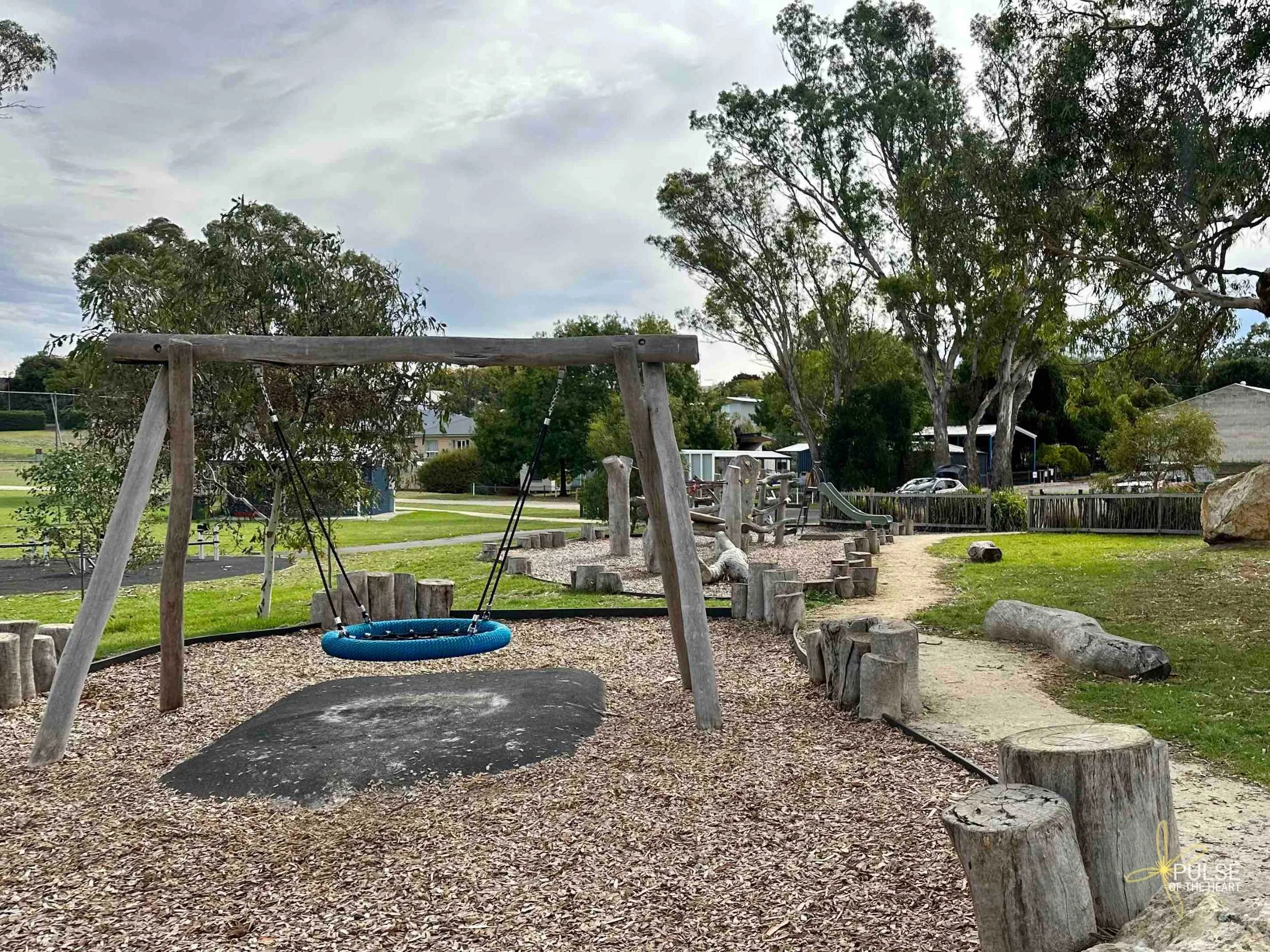 Ring swing and climbing frame at Memorial Oval nature play space.
