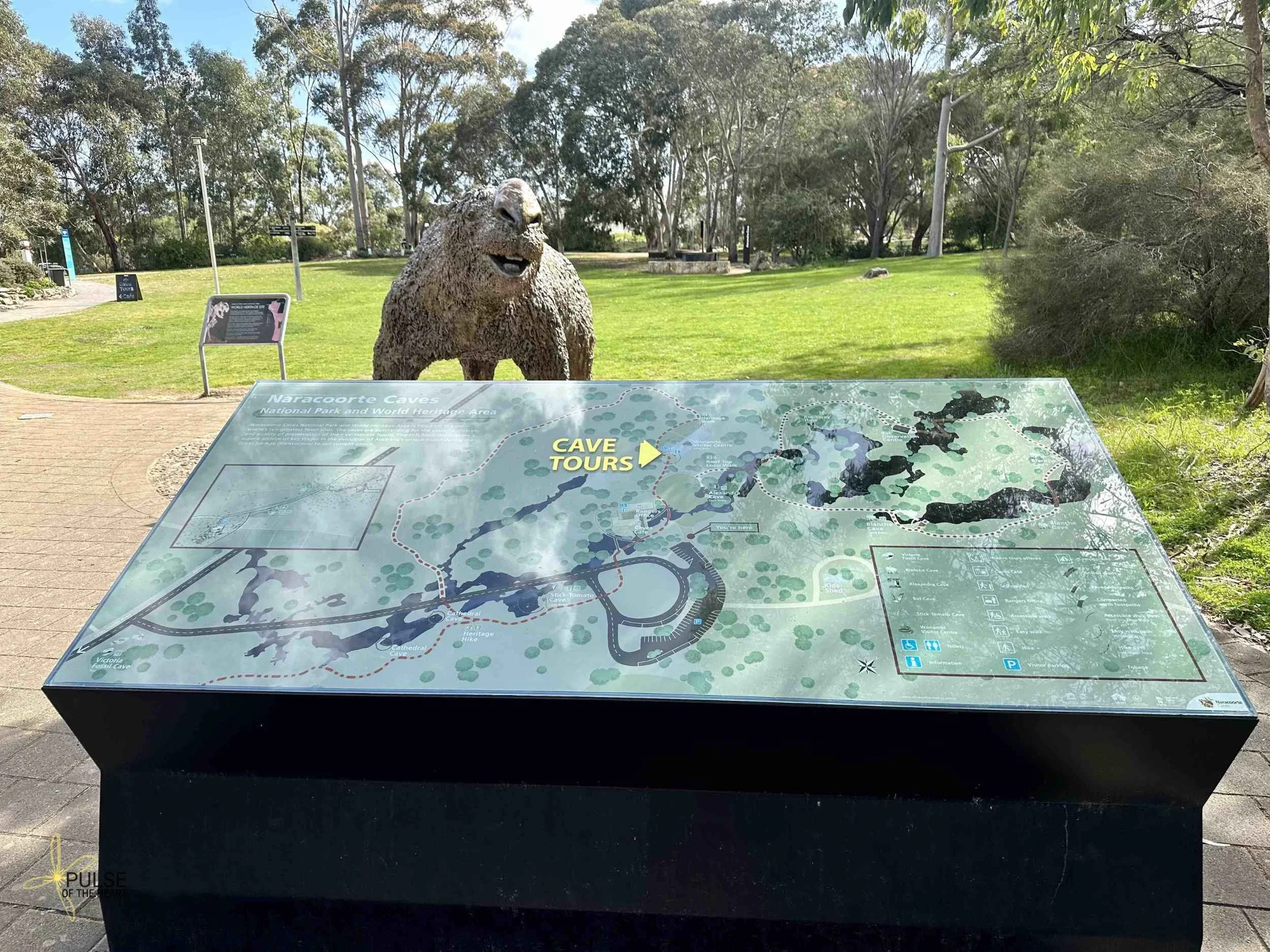 Naracoorte Caves National Park map and 'Dippy' the Diprotodon.