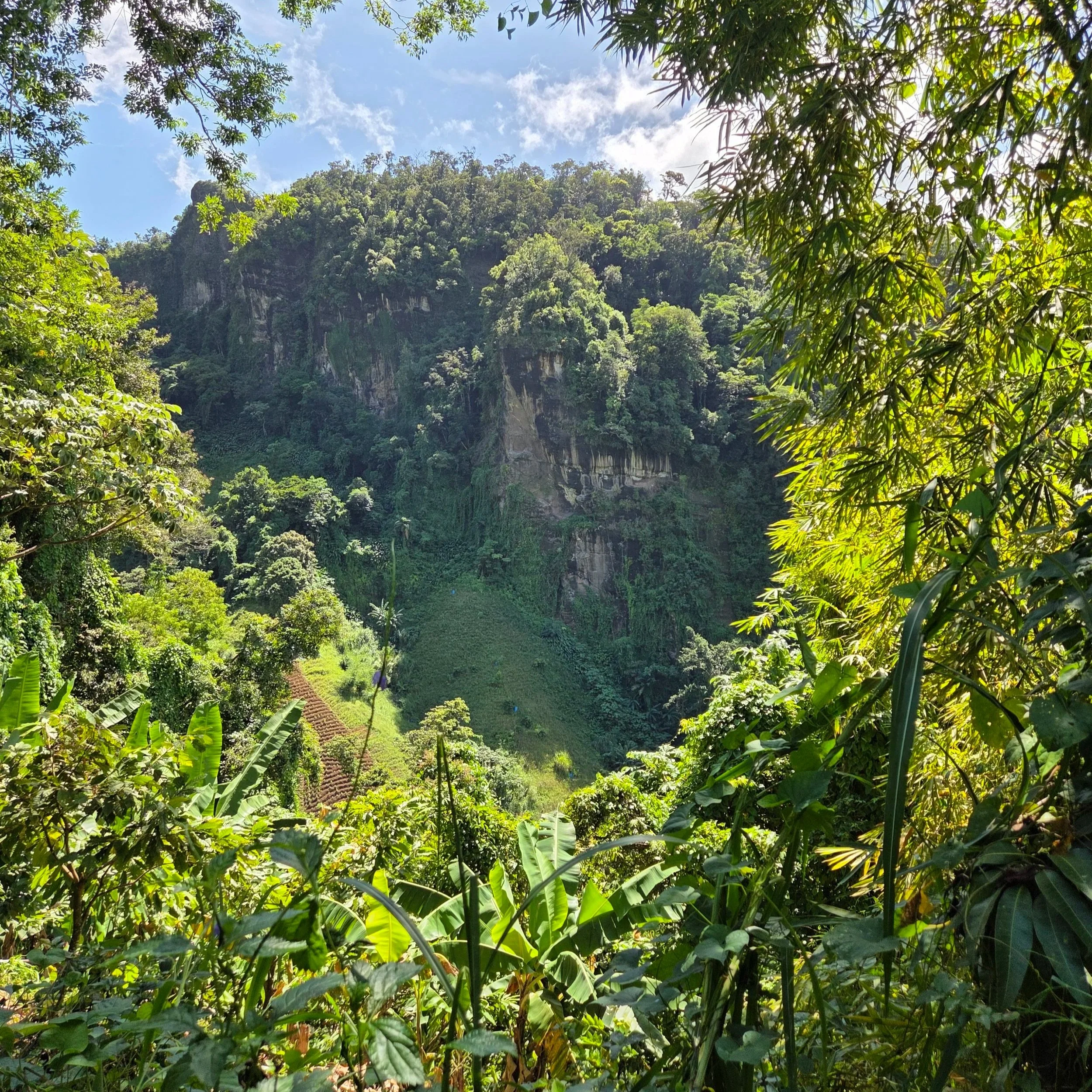 St Vincent mountain hills