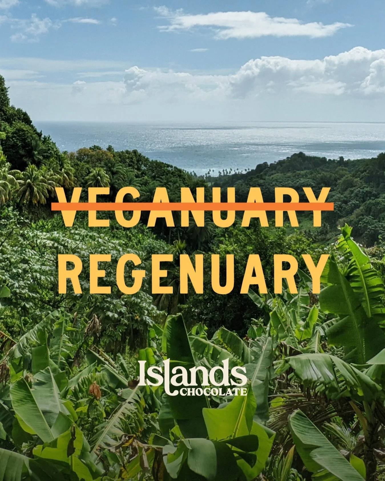 REGENUARY 🌱

This January, we&rsquo;re taking you back to the very beginning - where our chocolate truly starts.
&nbsp;
Over the next few weeks, we&rsquo;ll be sharing what regeneration means to us at Islands: from the way we farm, to the communitie