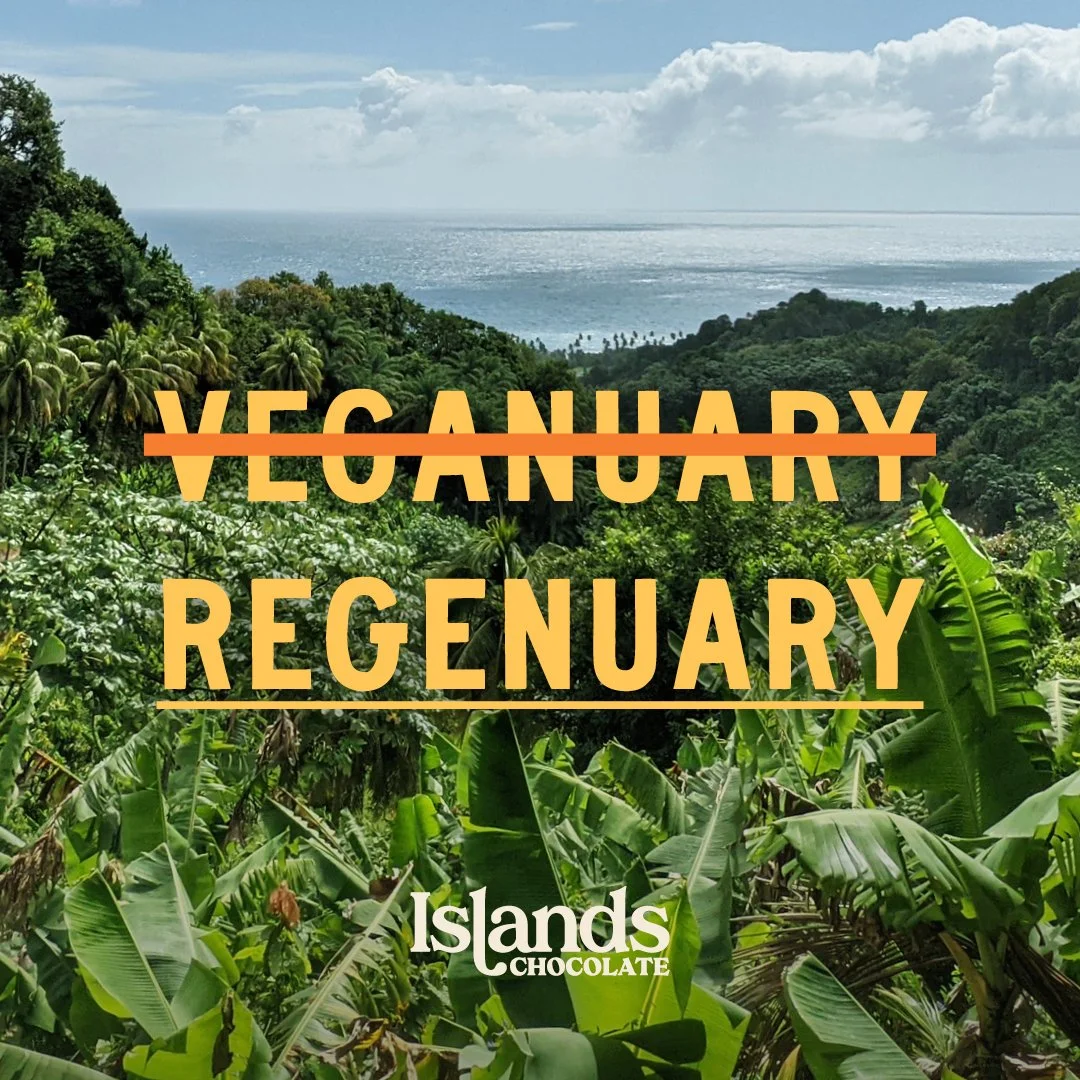 REGENUARY: What Regeneration means to us at islands