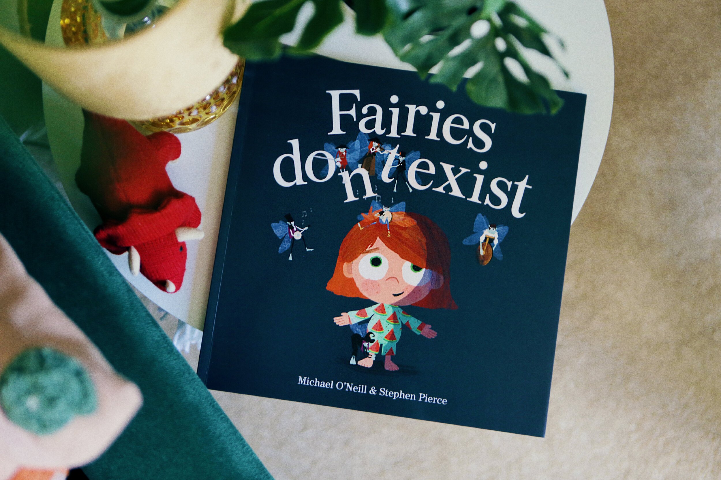 Fairies don't exist children's picture book