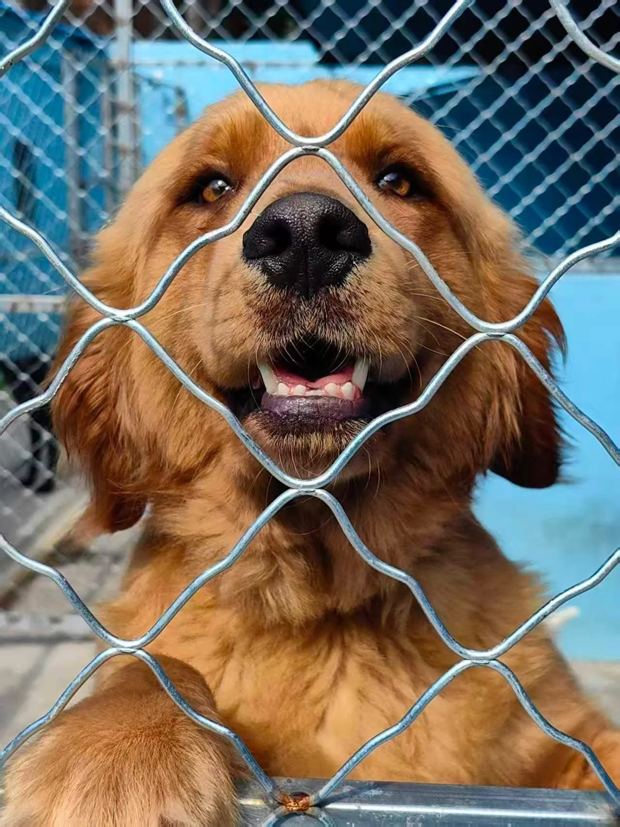 Can you be a flight hero? 