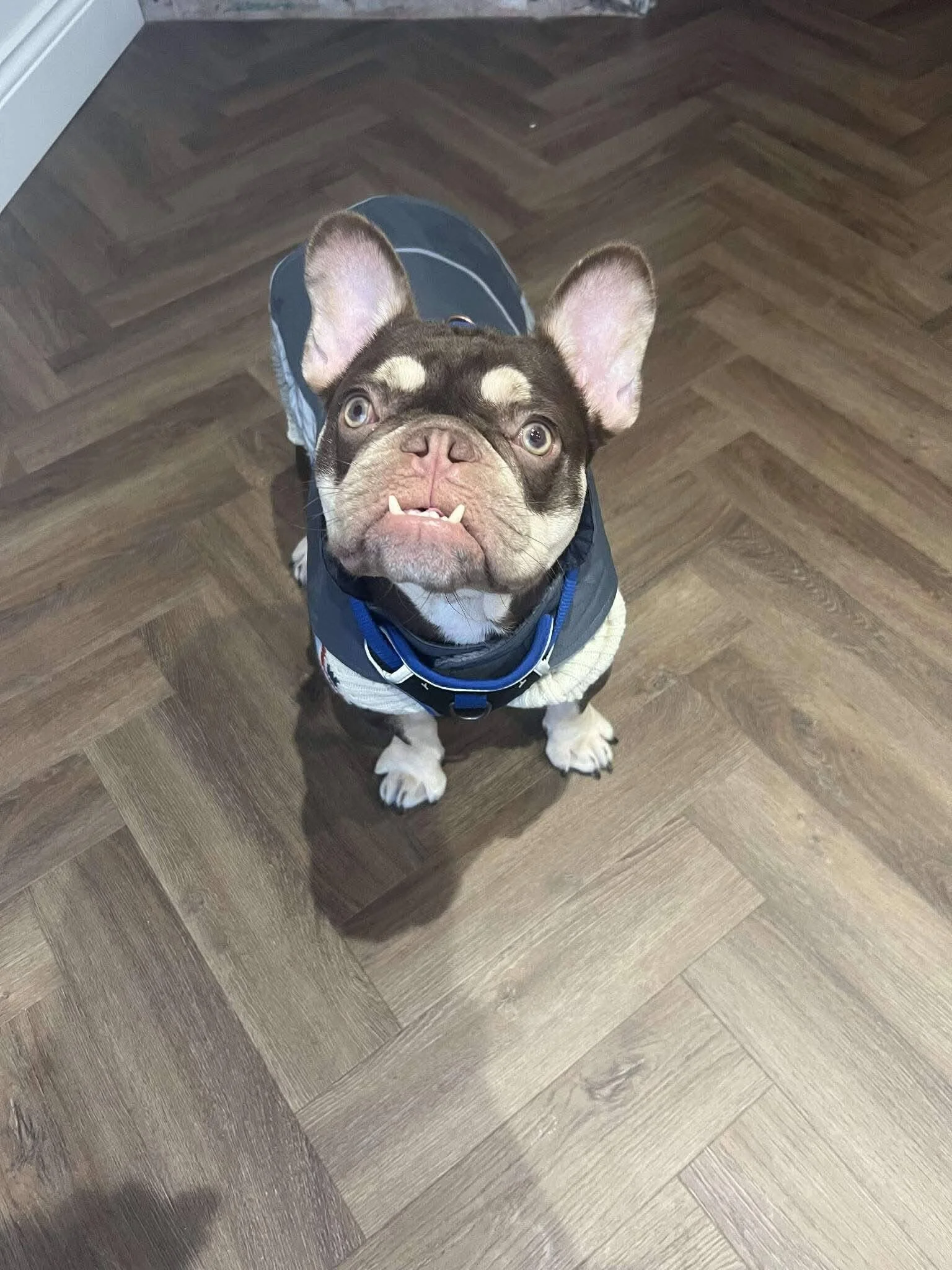 Happy Ever After ♥️