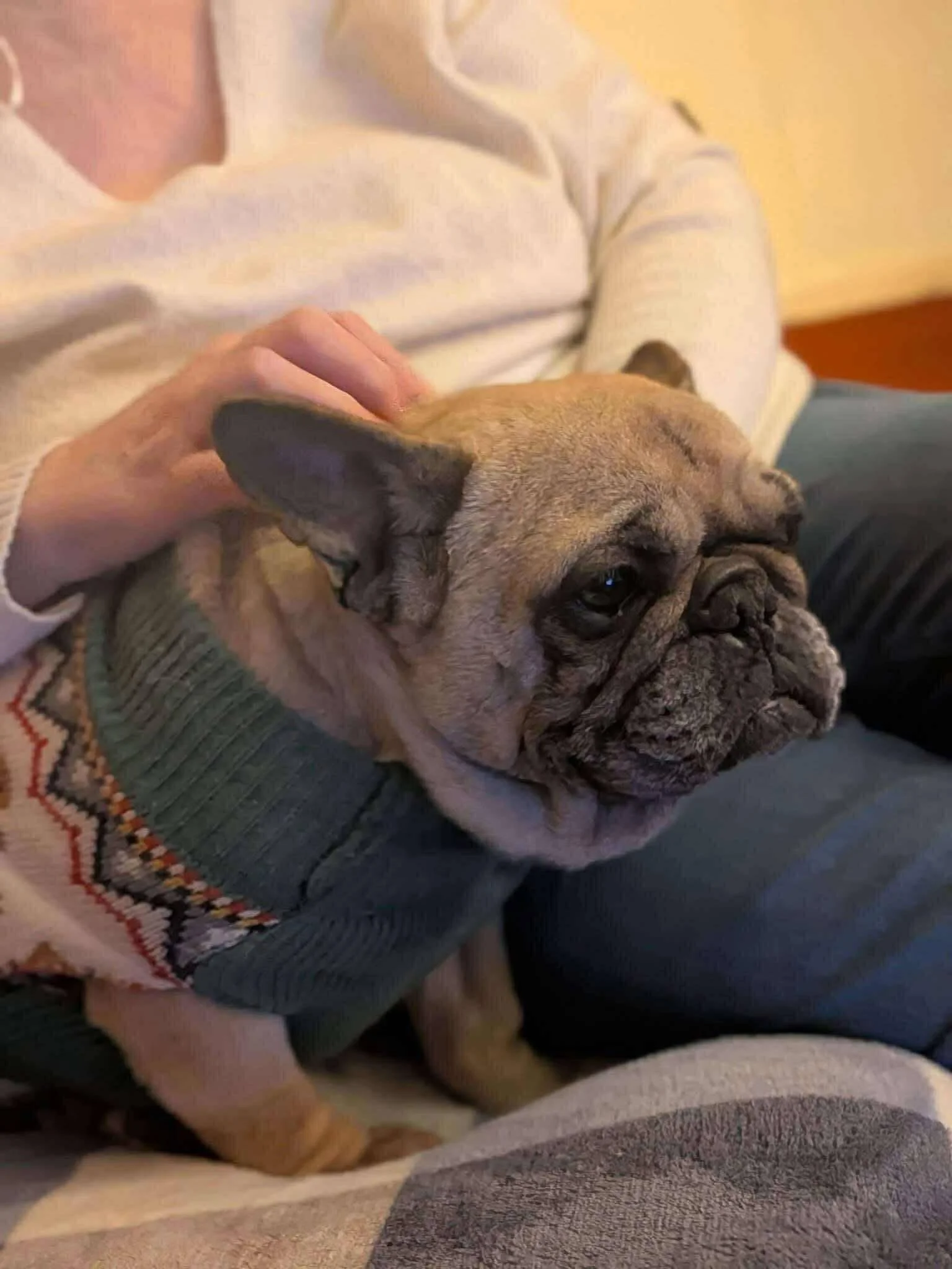 Twiglet is home ♥️