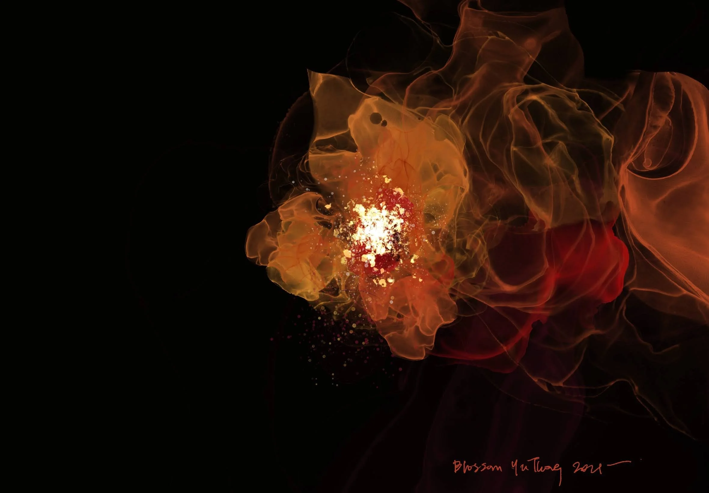 Blossom_2360_1640px copy.jpg